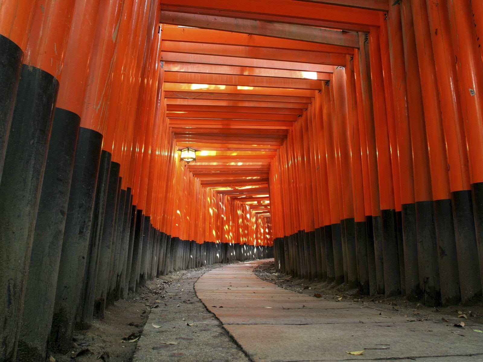 shrine, 720P, fushimi, japan, paths, architecture, inari, HD Wallpaper