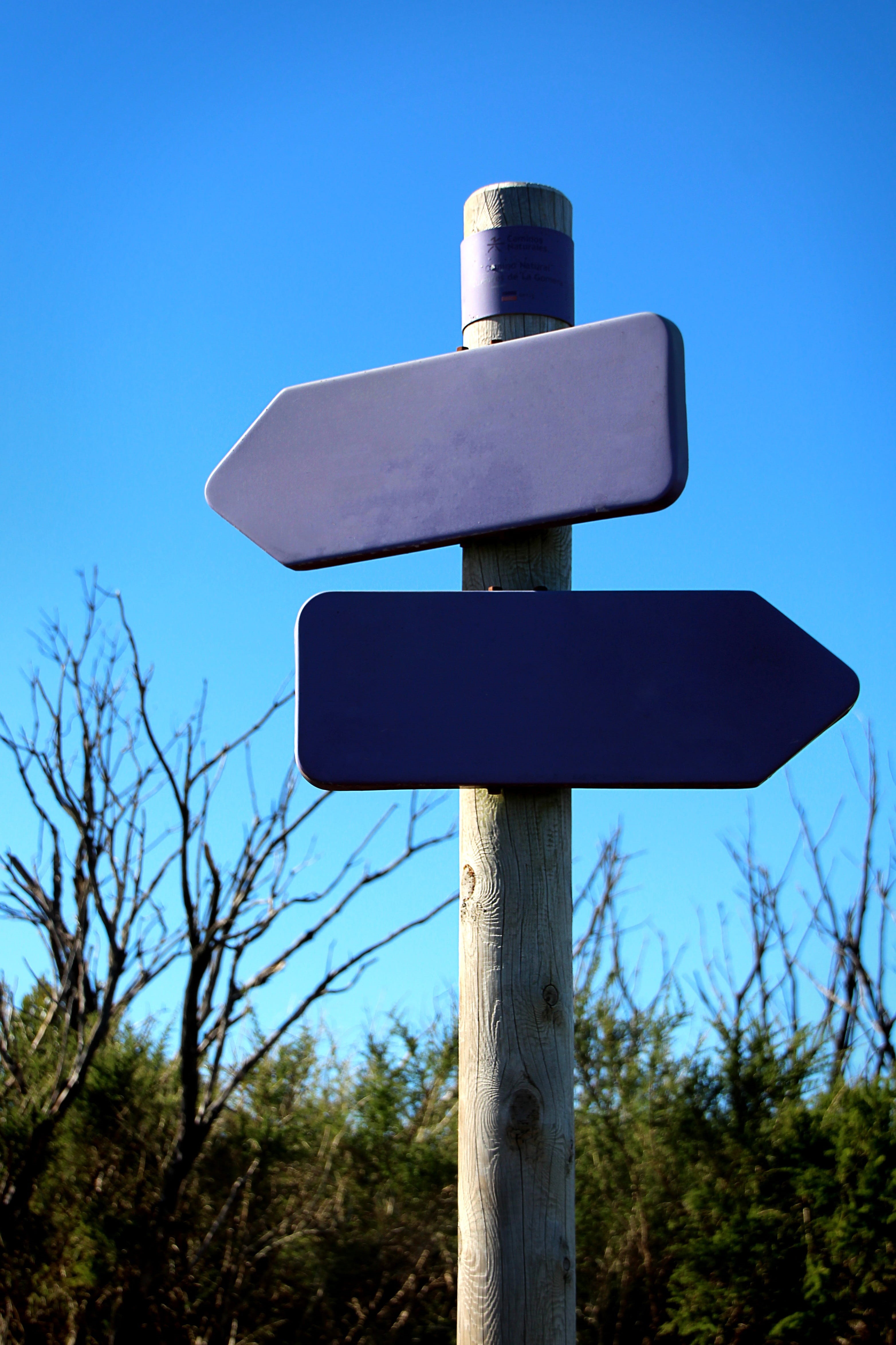 blue, road, close-up, guidance, marking, sign, road sign, directory, directional sign, arrow, 4K, note, tree, nature, no people, migratory character, day, Phone HD Wallpaper