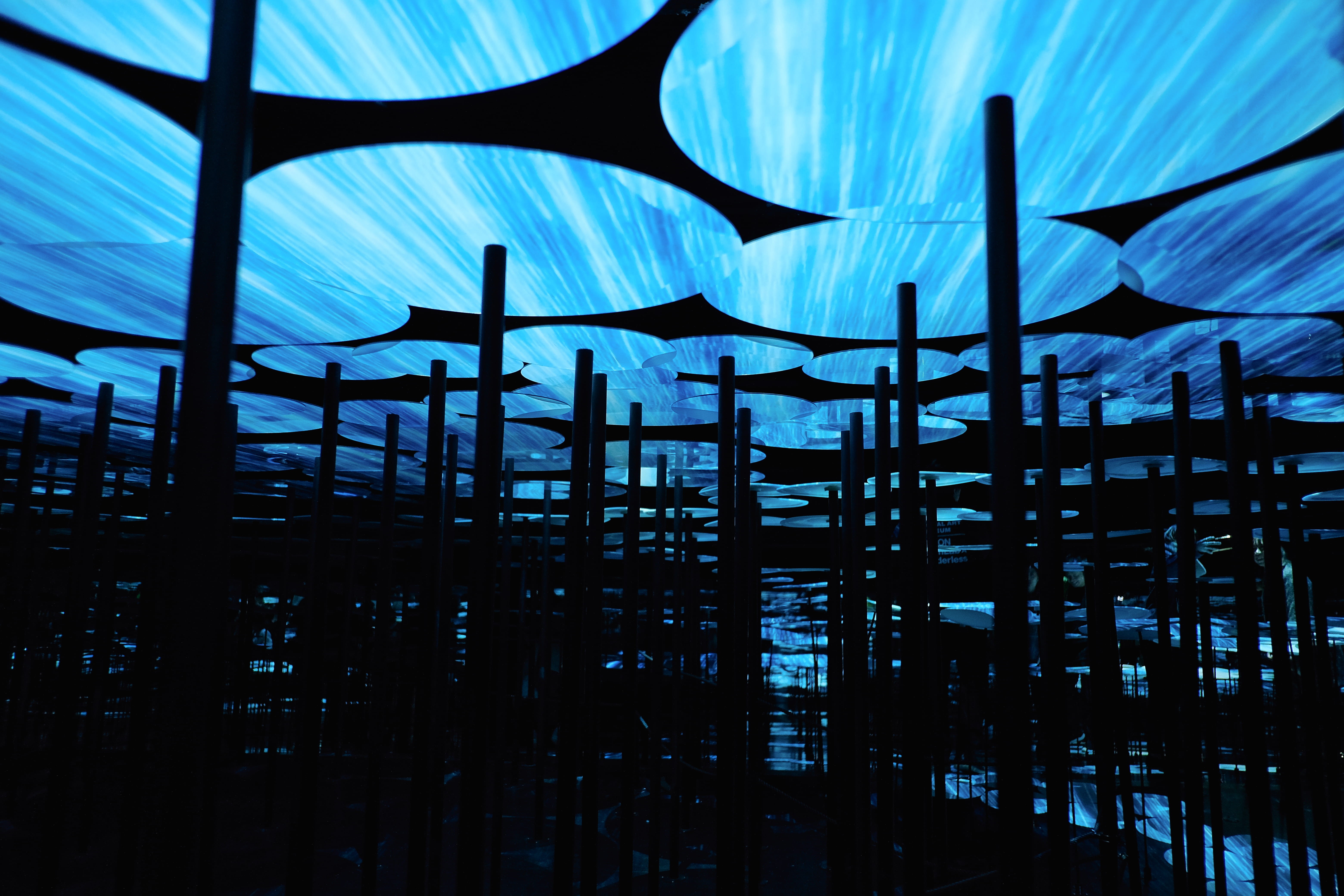 banister, indoors, teamlab borderless, nature, day, art exhibiton, low angle view, city, building, no people, backgrounds, art, technology, outdoors, metal, HD Wallpaper