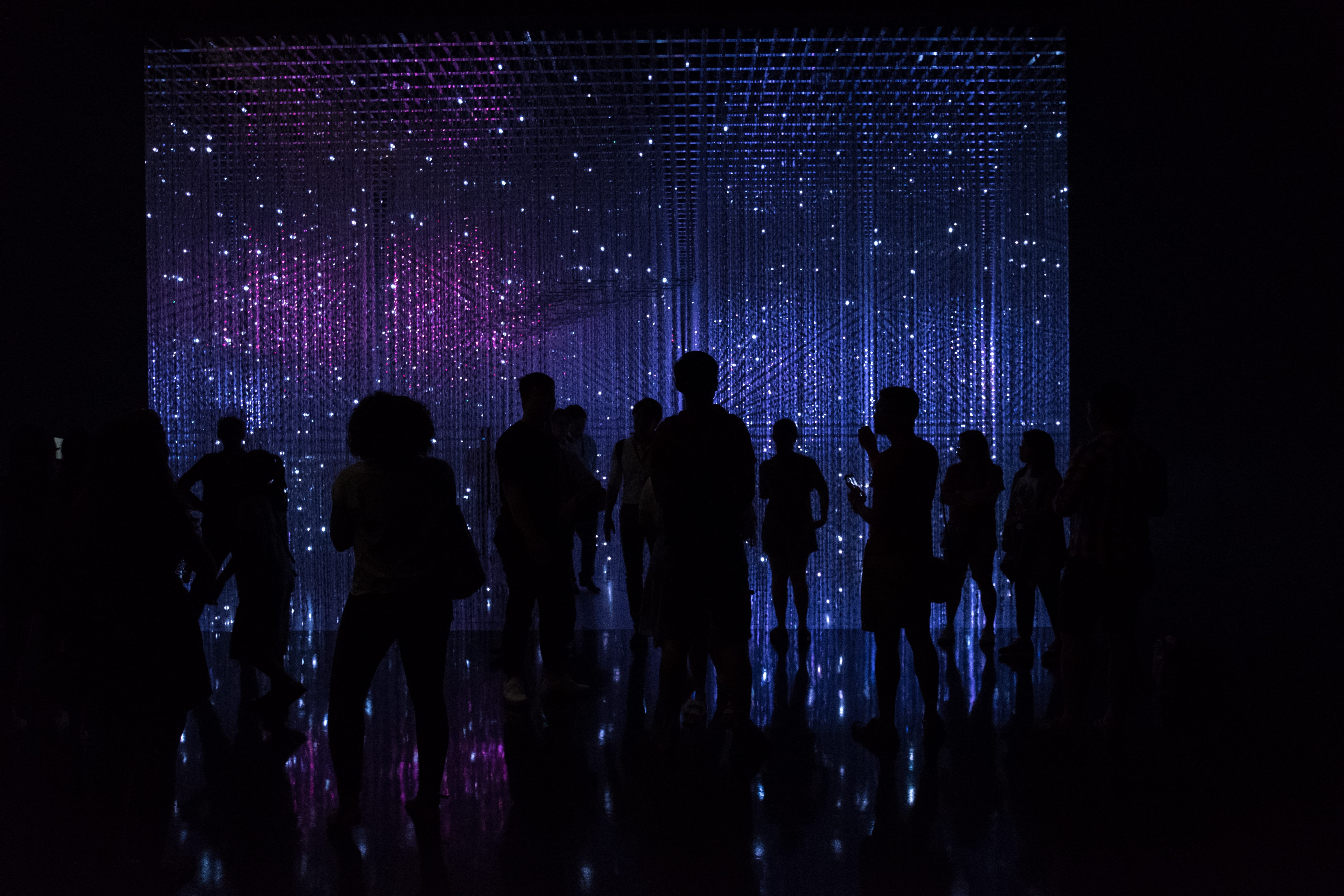 lighting, rear view, party, purple, 5K, interior design, nightlife, night, adult, dance pose, popular music concert, person, large group of people, fun, HD Wallpaper