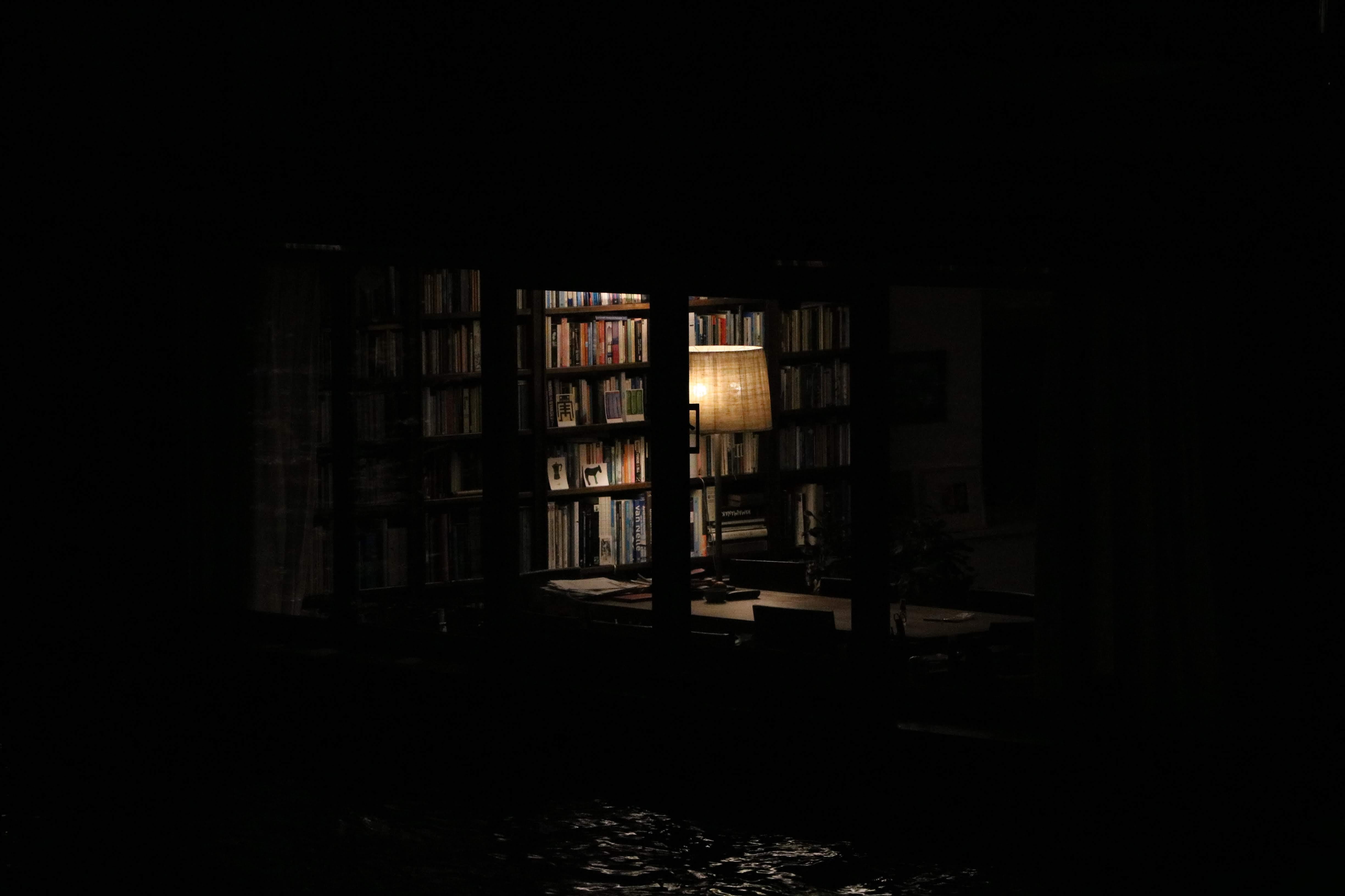 furniture, flooring, lighting, library, white, building, nature, black, architecture, light, window, bookcase, shelf, electric lamp, education, outdoors, HD Wallpaper