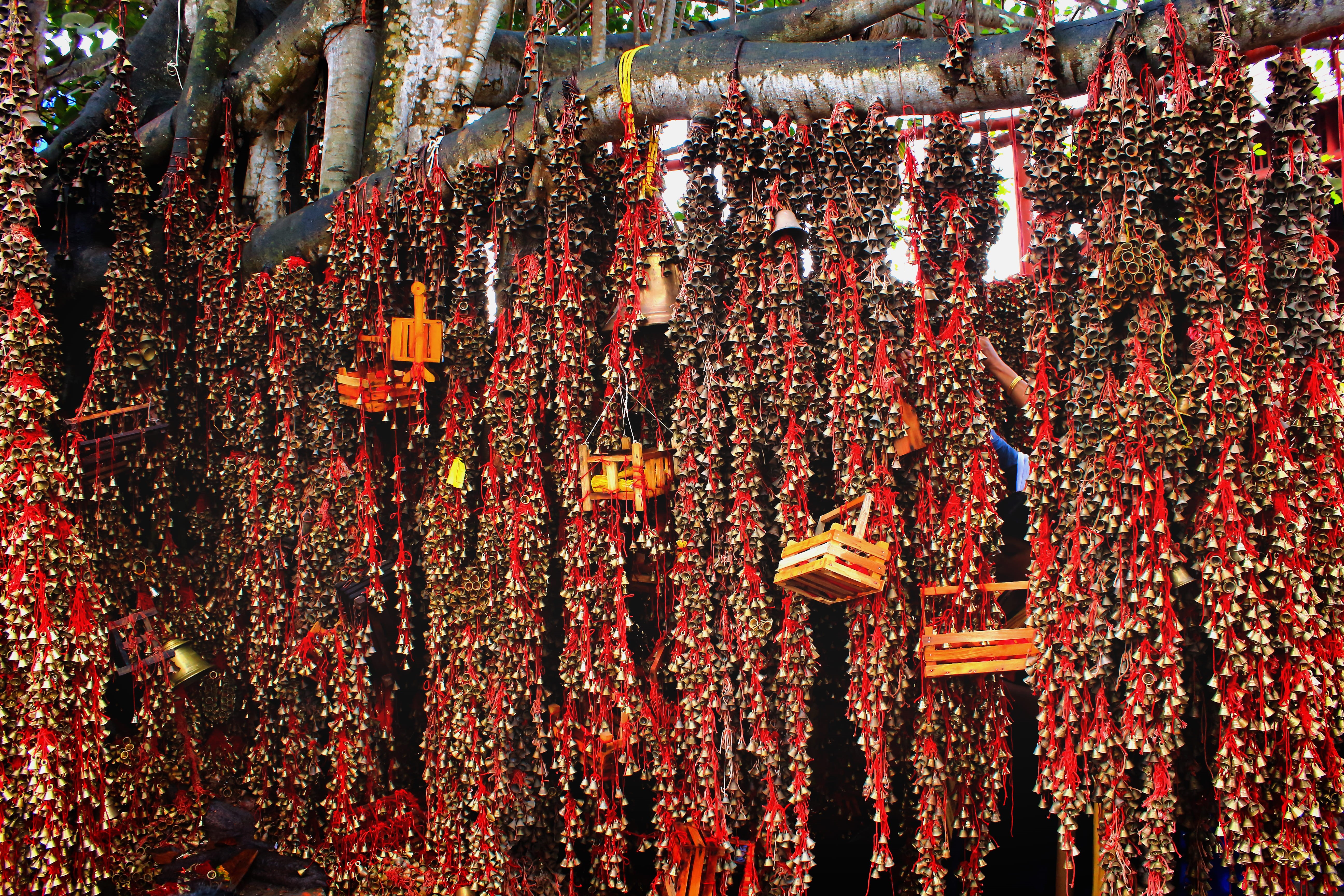 architecture, multi colored, spirituality, flowering plant, rosary, tree, worship, outdoors, plant, hinduism, flower, accessories, day, no people, india, HD Wallpaper