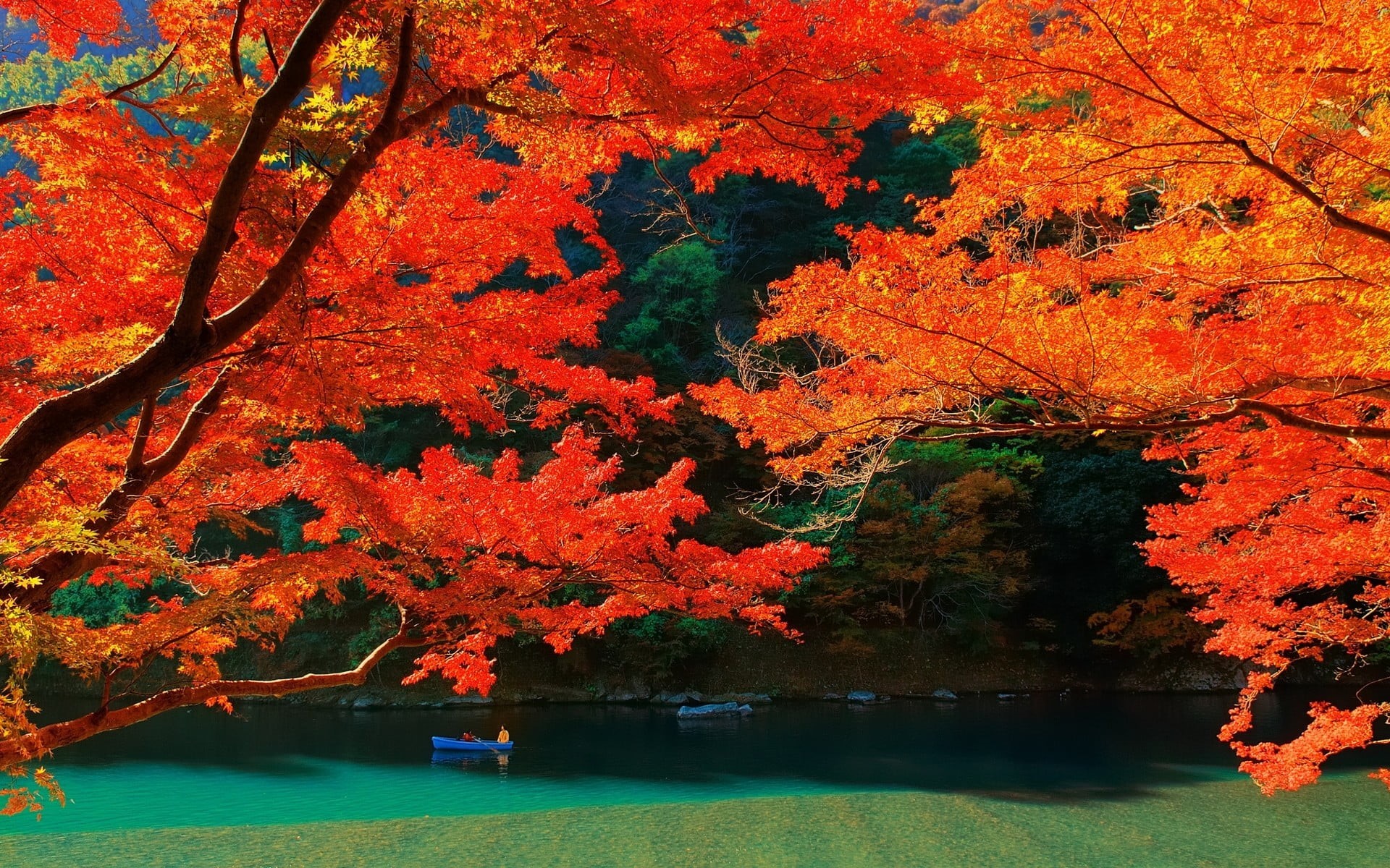 no people, Japan, body, scenics - nature, tranquil scene, 1080P, landscape, lake, water, tranquility, day, boat, idyllic, plant, change, autumn, orange color, HD Wallpaper
