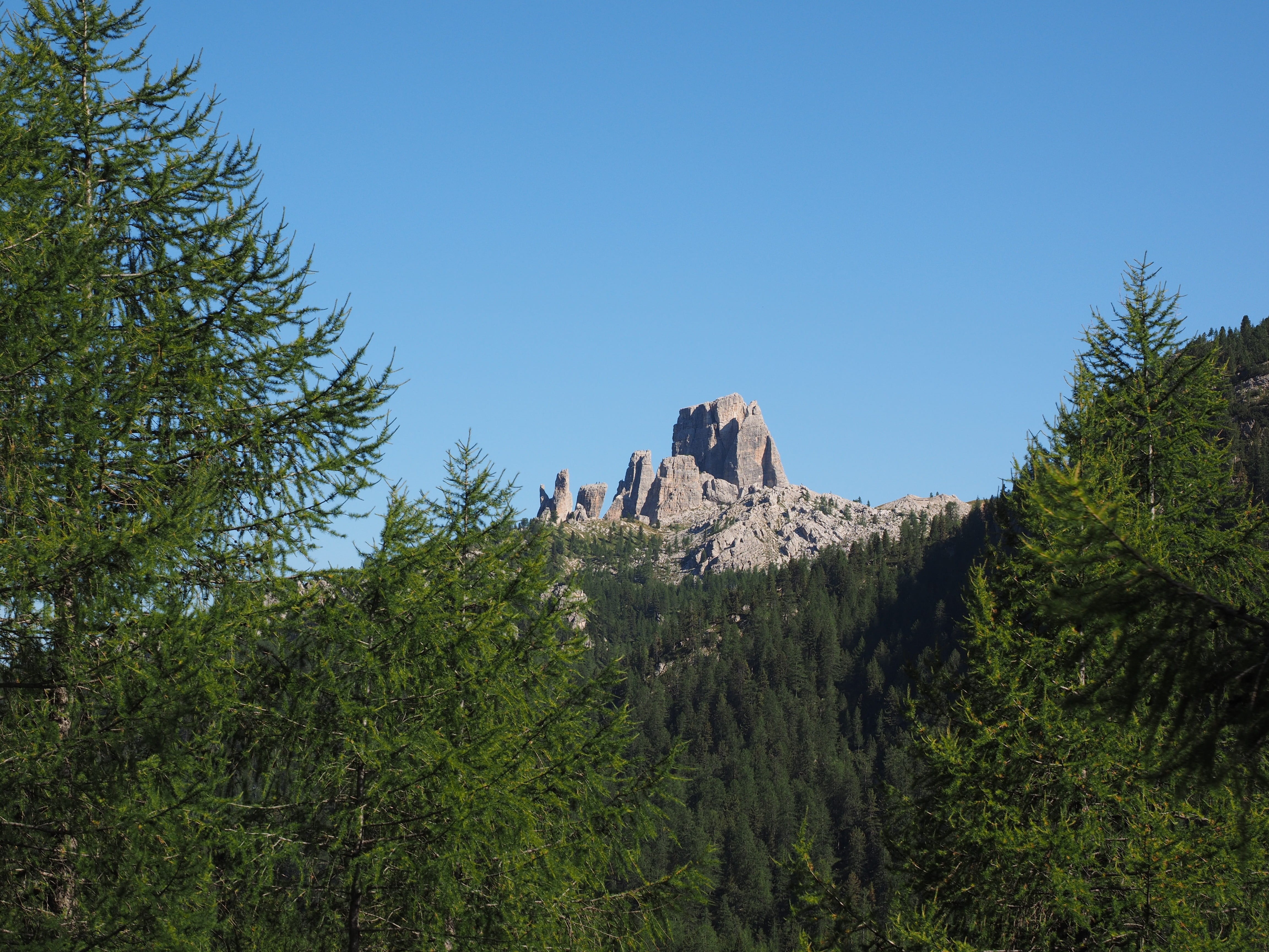green color, clear sky, growth, outdoors, tree, the falzarego pass, torre seconda, travel destinations, tranquility, day, travel, coniferous tree, mountain, HD Wallpaper