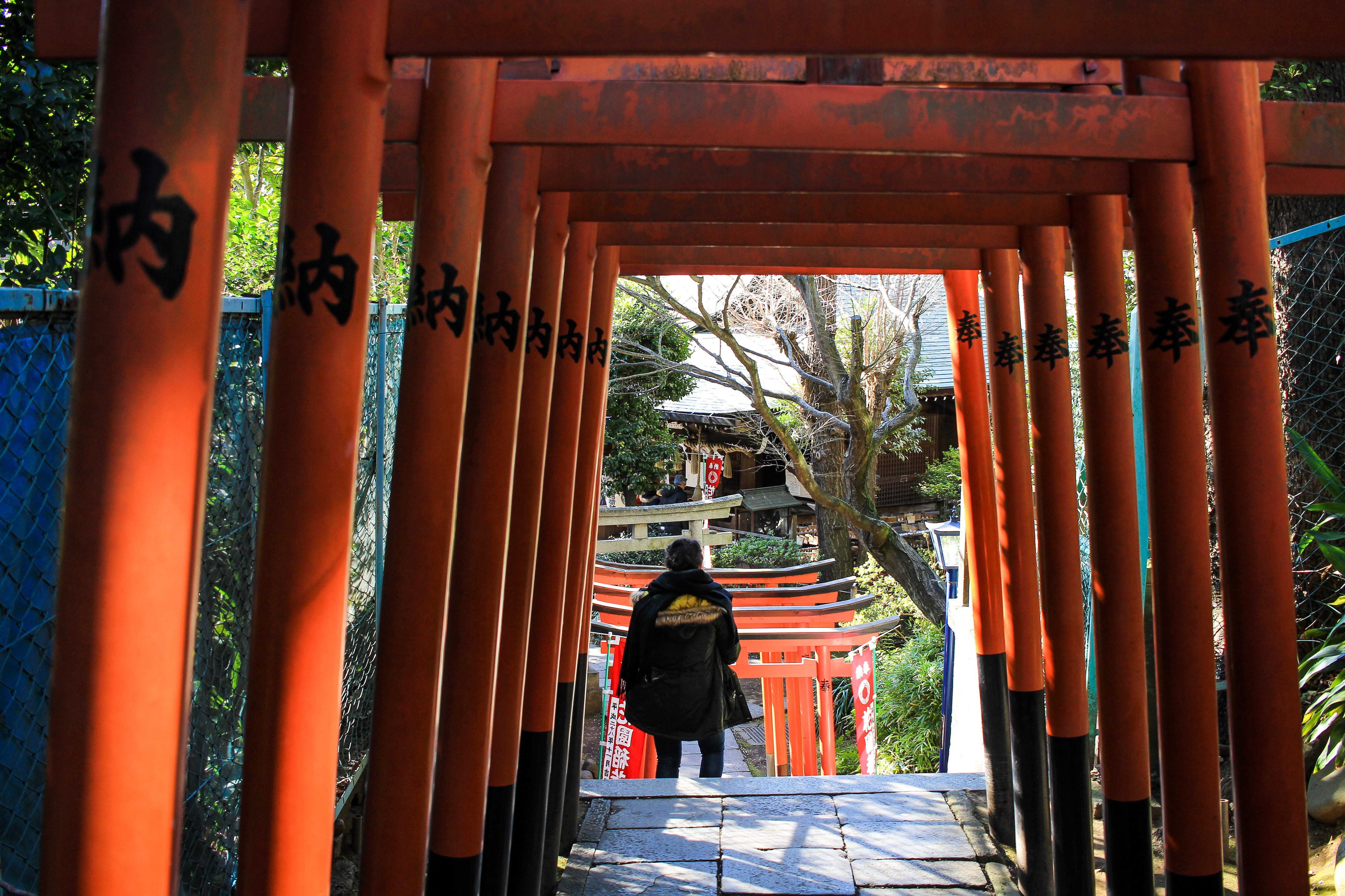 building, ueno, day, japon, architecture, temple, garden, red, the way forward, tree, porch, torri, japan, place of worship, person, spirituality, belief, HD Wallpaper