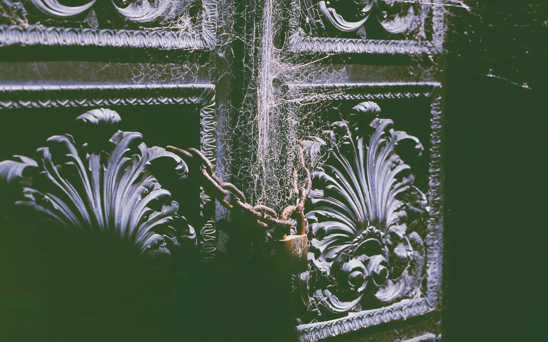 nature, outdoors, creativity, leaf, entrance, wrought iron, art and craft, flower, spider, day, fragility, beauty in nature, horror, plant part, 1080P, HD Wallpaper