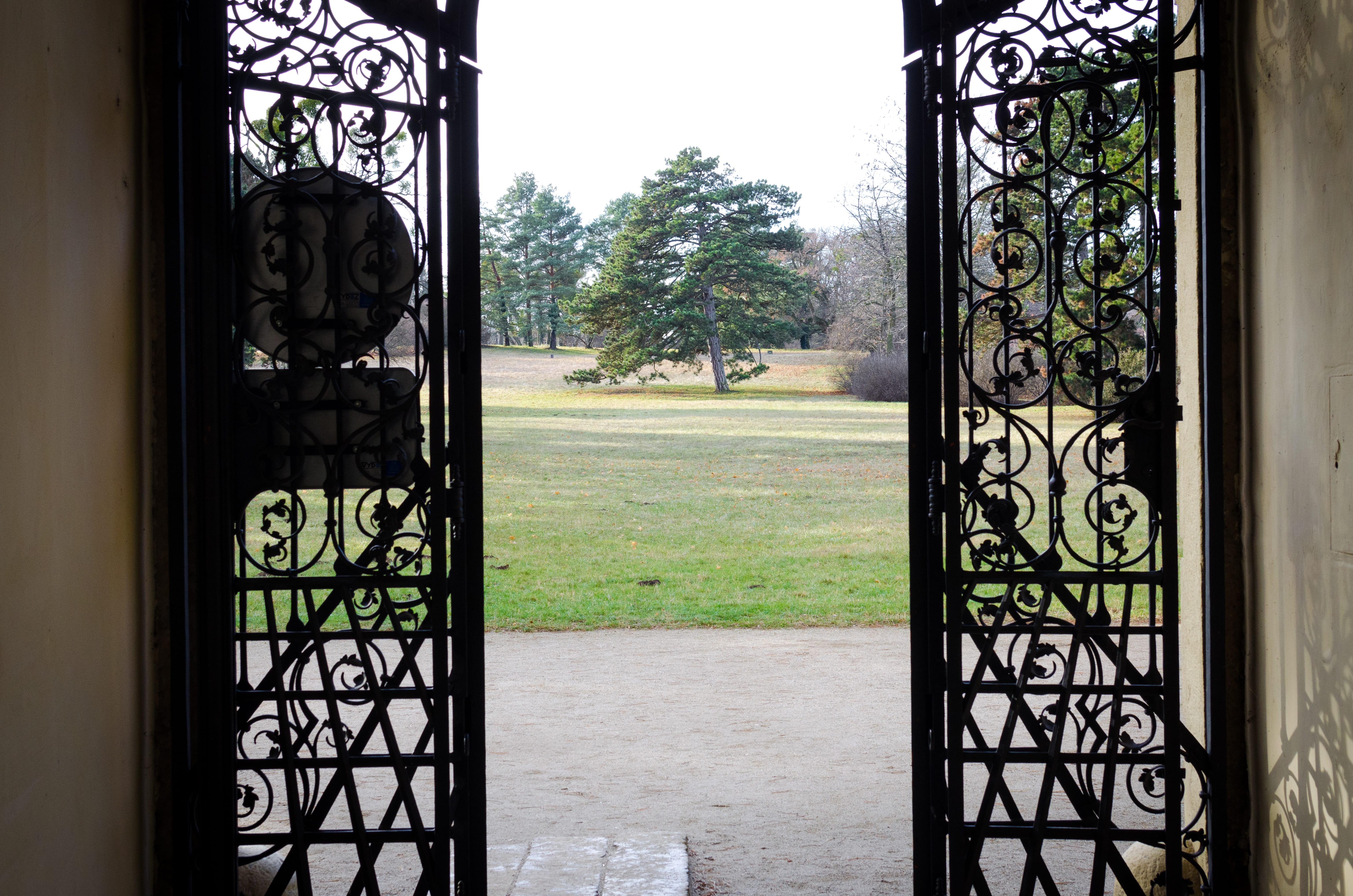iron - metal, antique, outdoor, door, tree, plant, vintage, garden, landscape, house, no people, architectural column, iron, gate, art and craft, entrance, HD Wallpaper