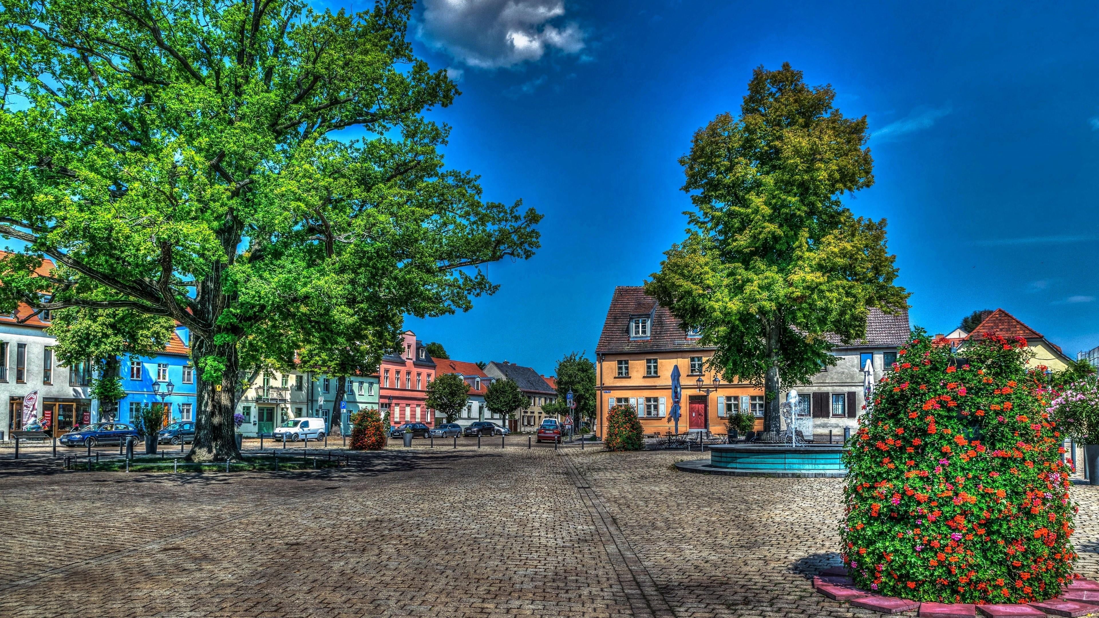 trees, europe, houses, sky, built structure, brandenburg, park, home, blue sky, tree, nature, incidental people, outdoors, architecture, street, religion, HD Wallpaper