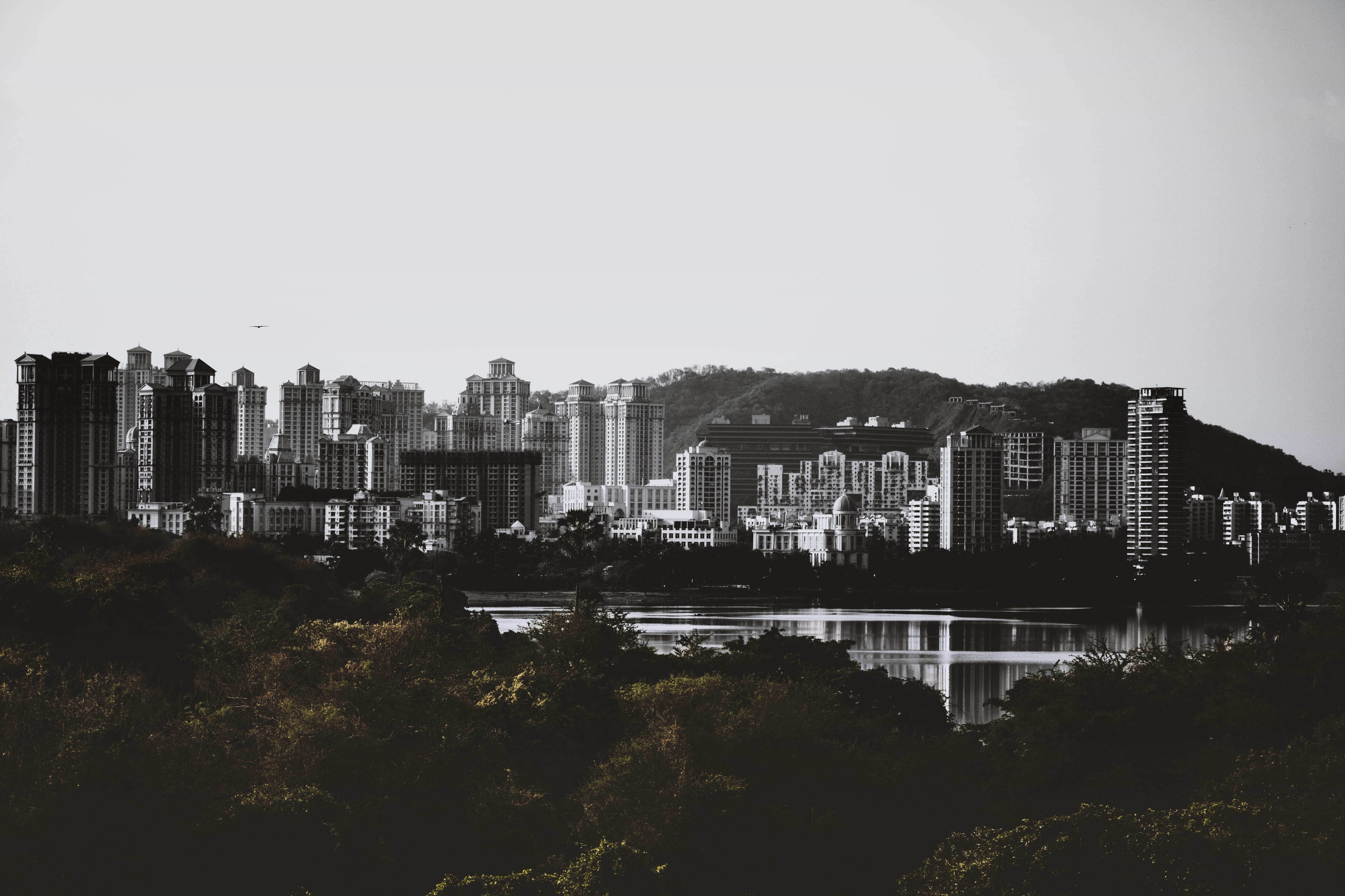 india, architecture, jungle, building, indian institute of technology bombay, building exterior, growth, lake, black and white, outdoors, landscape, forest, HD Wallpaper