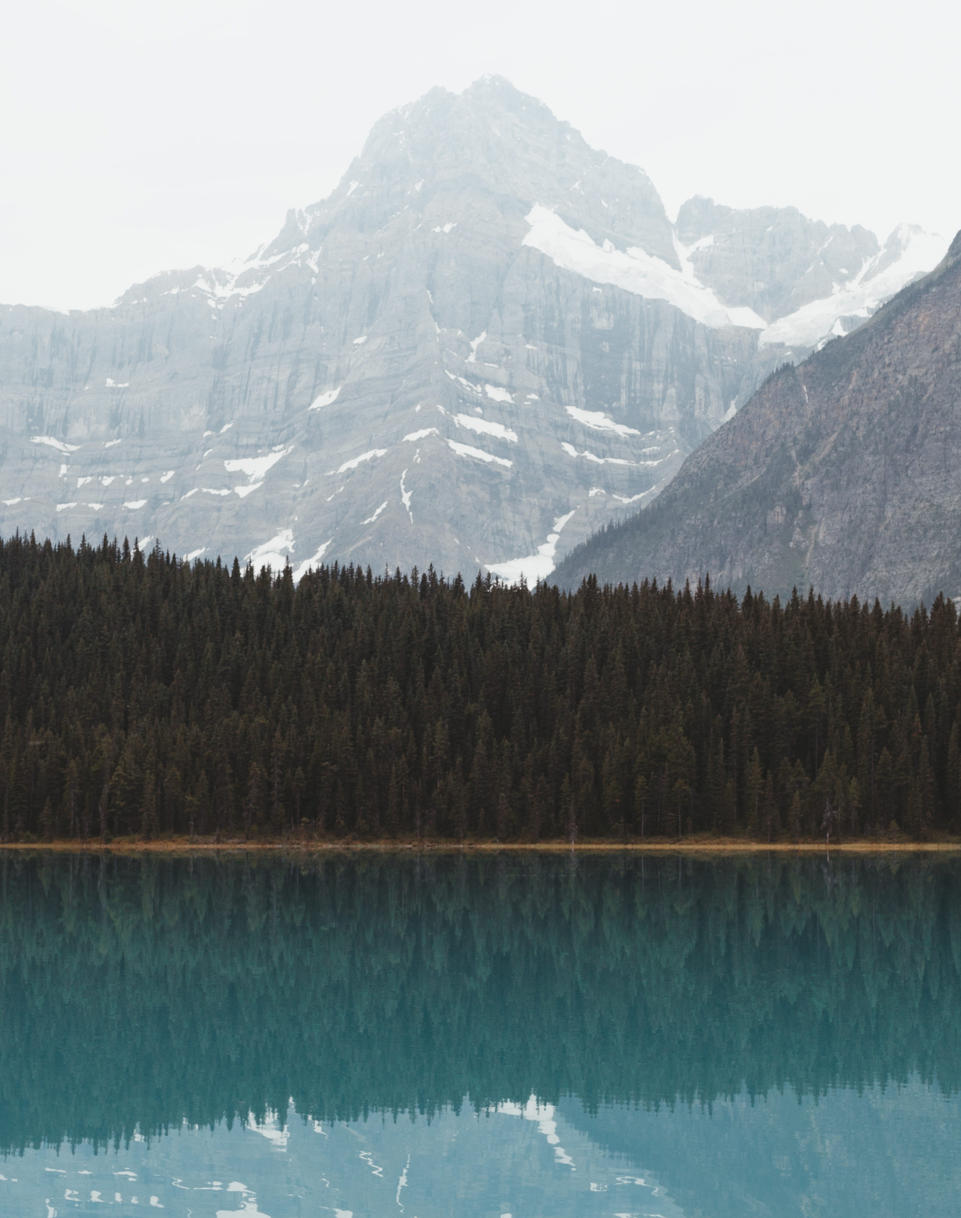 cold temperature, tranquility, non-urban scene, alberta, tranquil scene, daytime, snow, mountain peak, environment, beauty in nature, green, snowcapped mountain, Phone HD Wallpaper