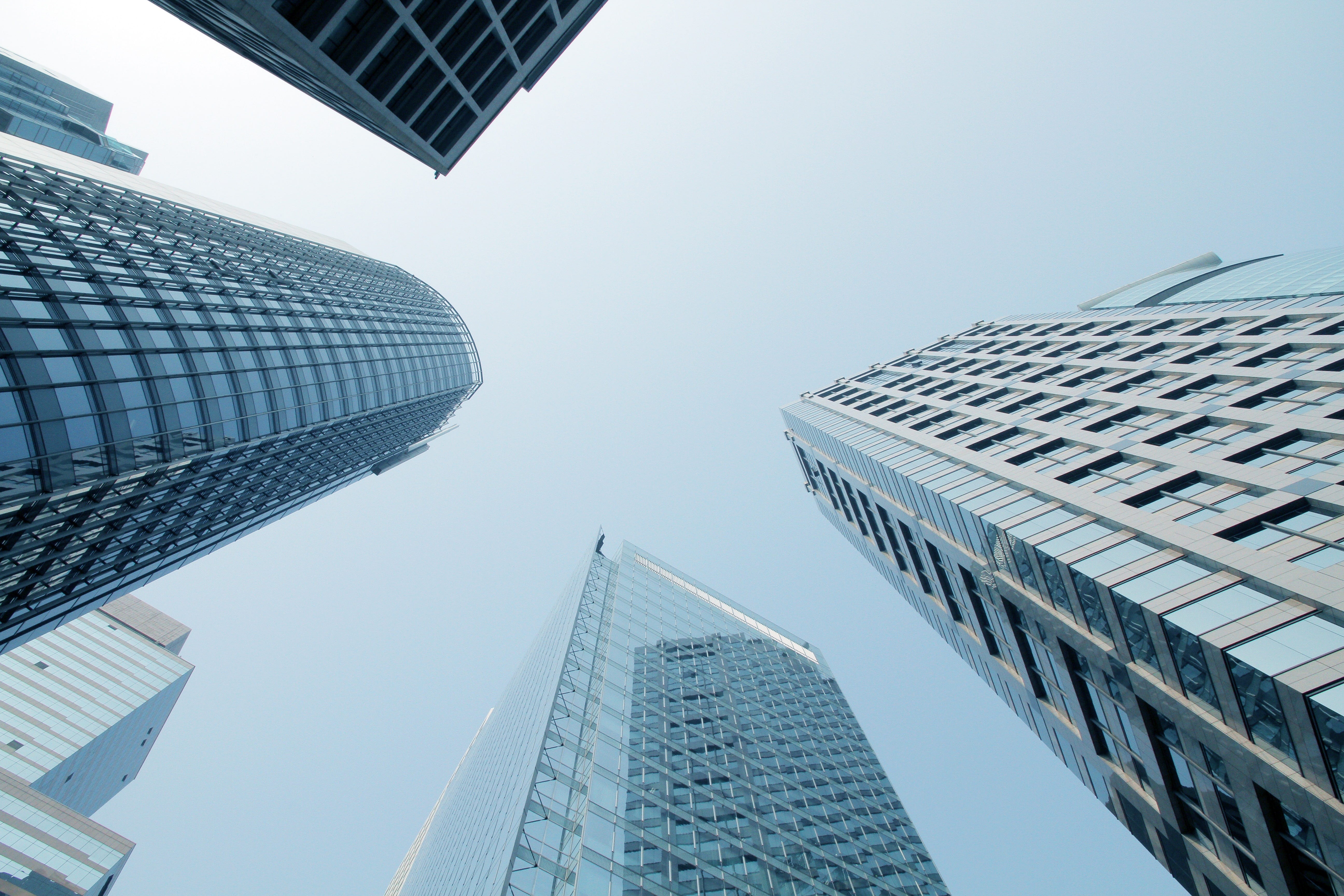 view, tall - high, city, downtown, rise, financial, nature, built structure, glass, low angle view, building exterior, business, cityscape, finance, urban, HD Wallpaper