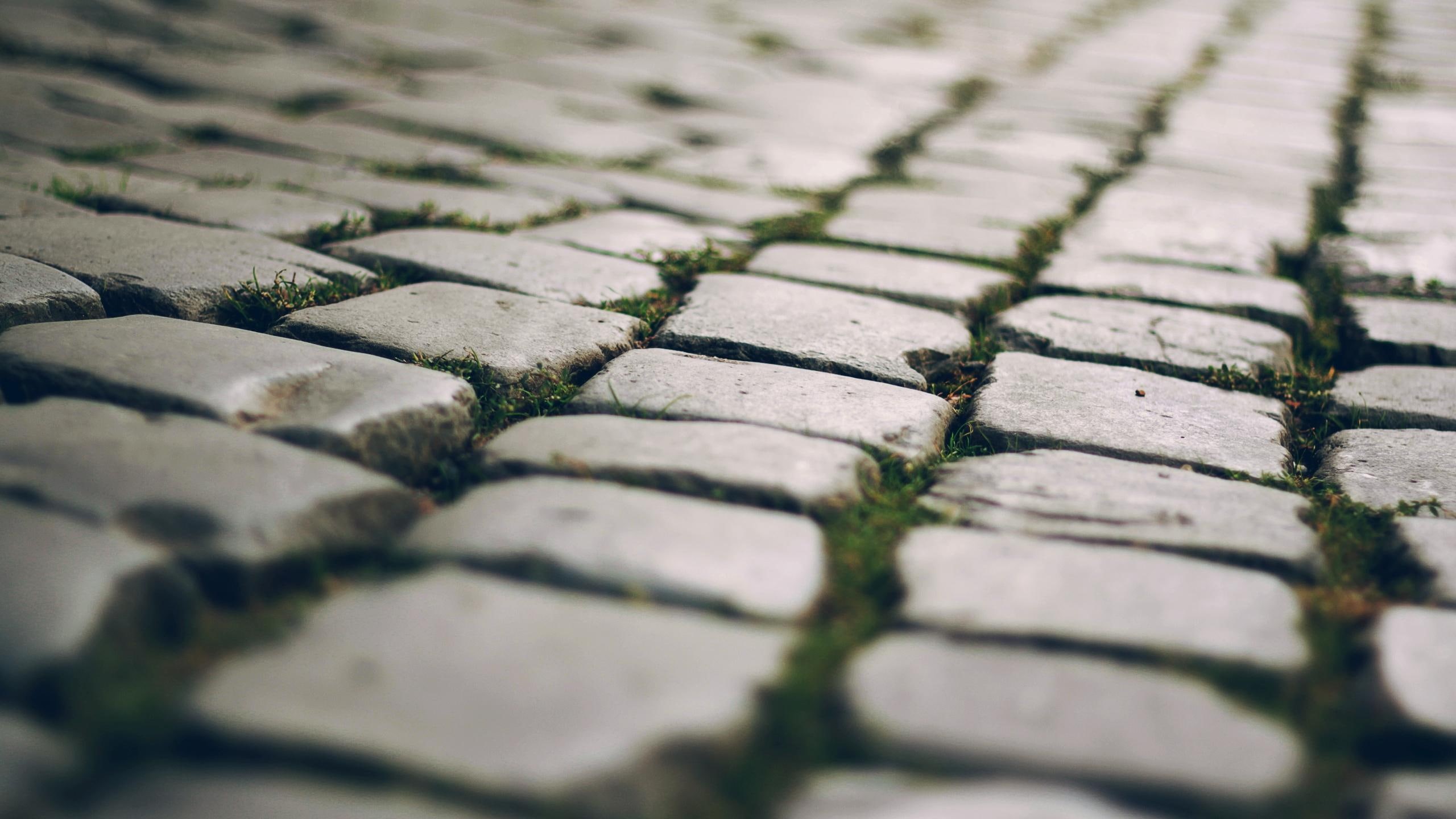 2K, photography, cobble, 2560x1440, bricks, pavement, stone, concrete, stones, grey, HD Wallpaper