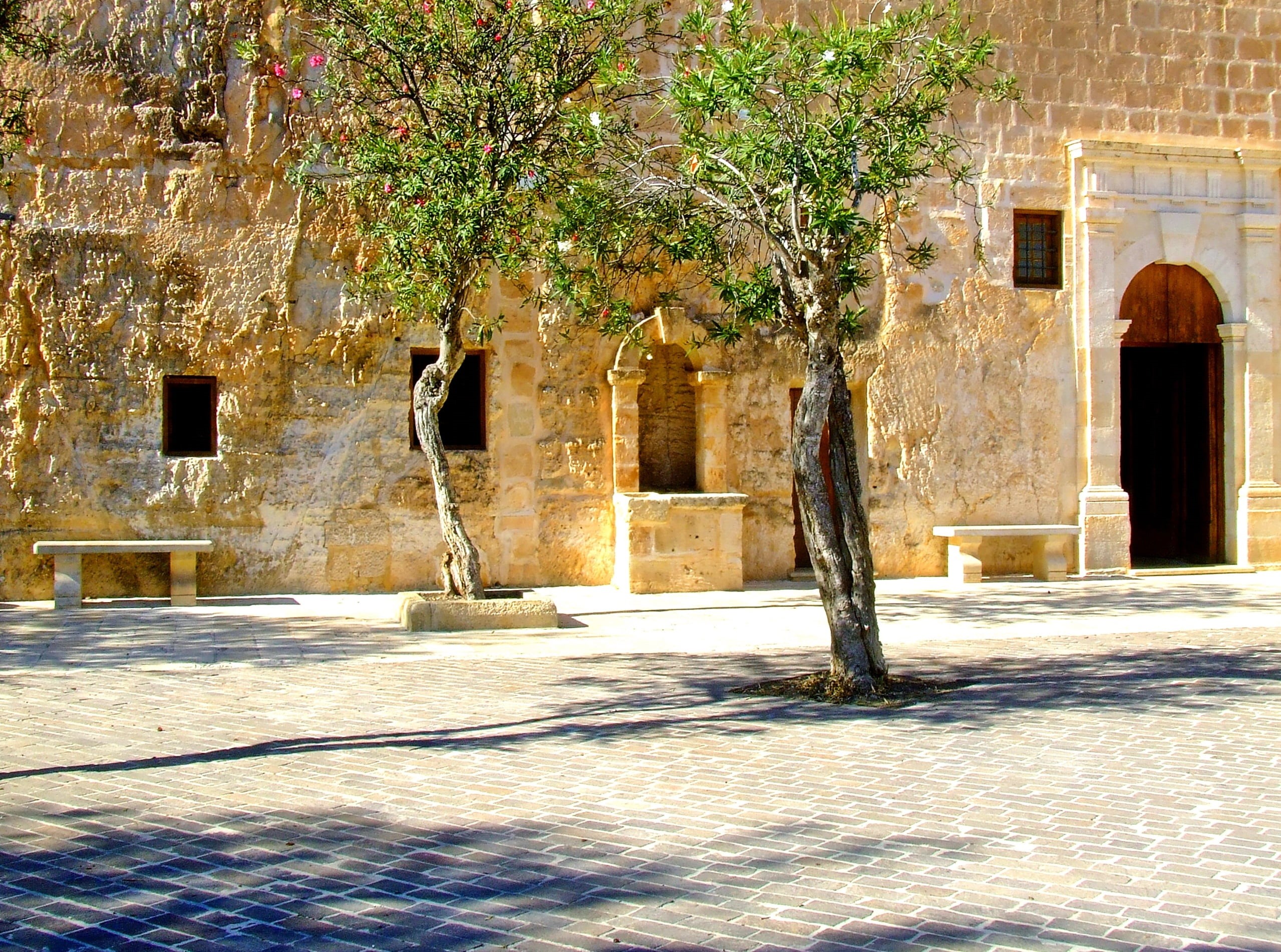 bright, brown, trees, door, scene, plant, mediterranean, pavement, cultures, building Exterior, windows, city, travel, vacation, cobblestone, colorful, HD Wallpaper
