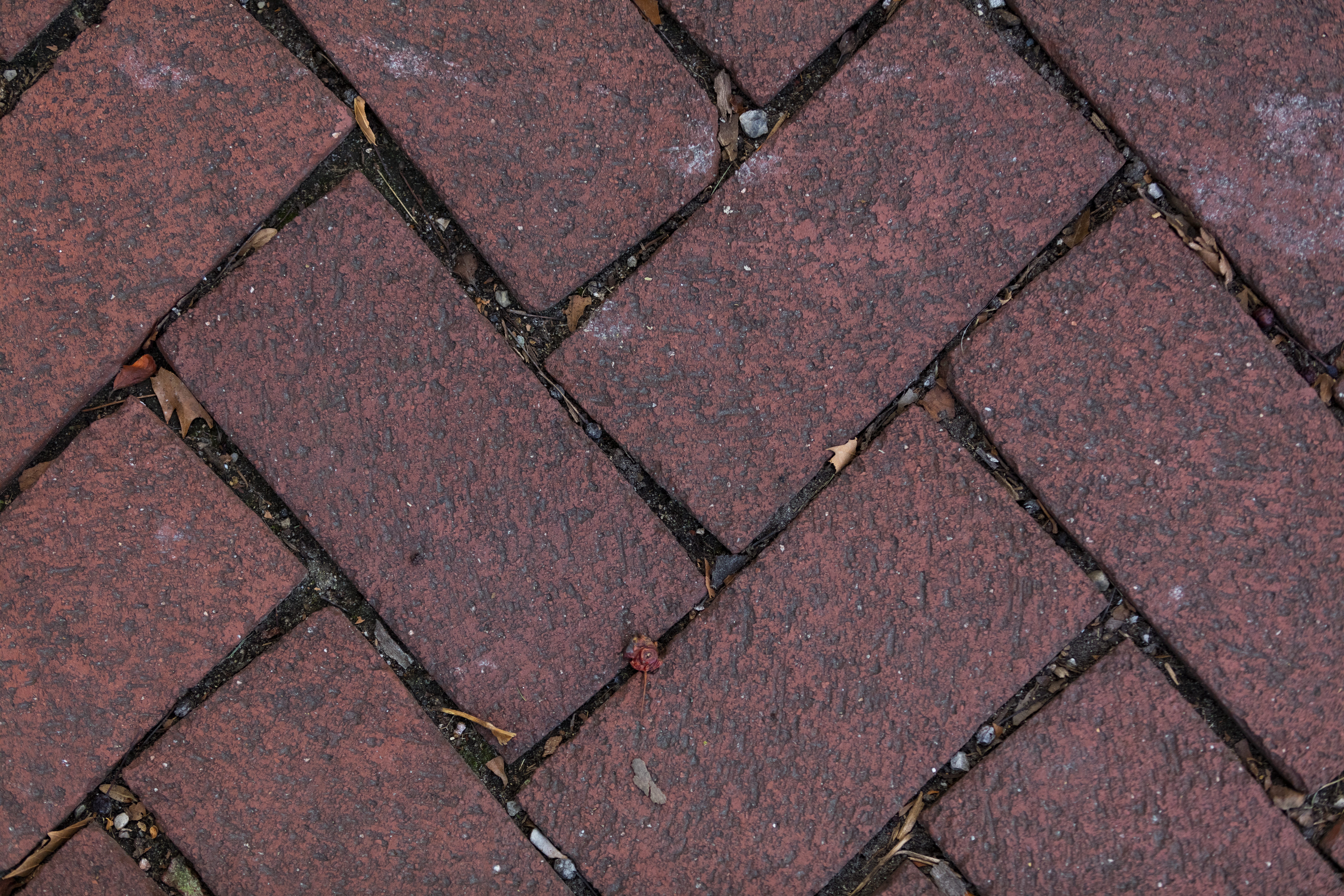indianapolis, close-up, footpath, street, 8K, high angle view, geometric shape, no people, tiled floor, backgrounds, pattern, textured, day, outdoors, HD Wallpaper