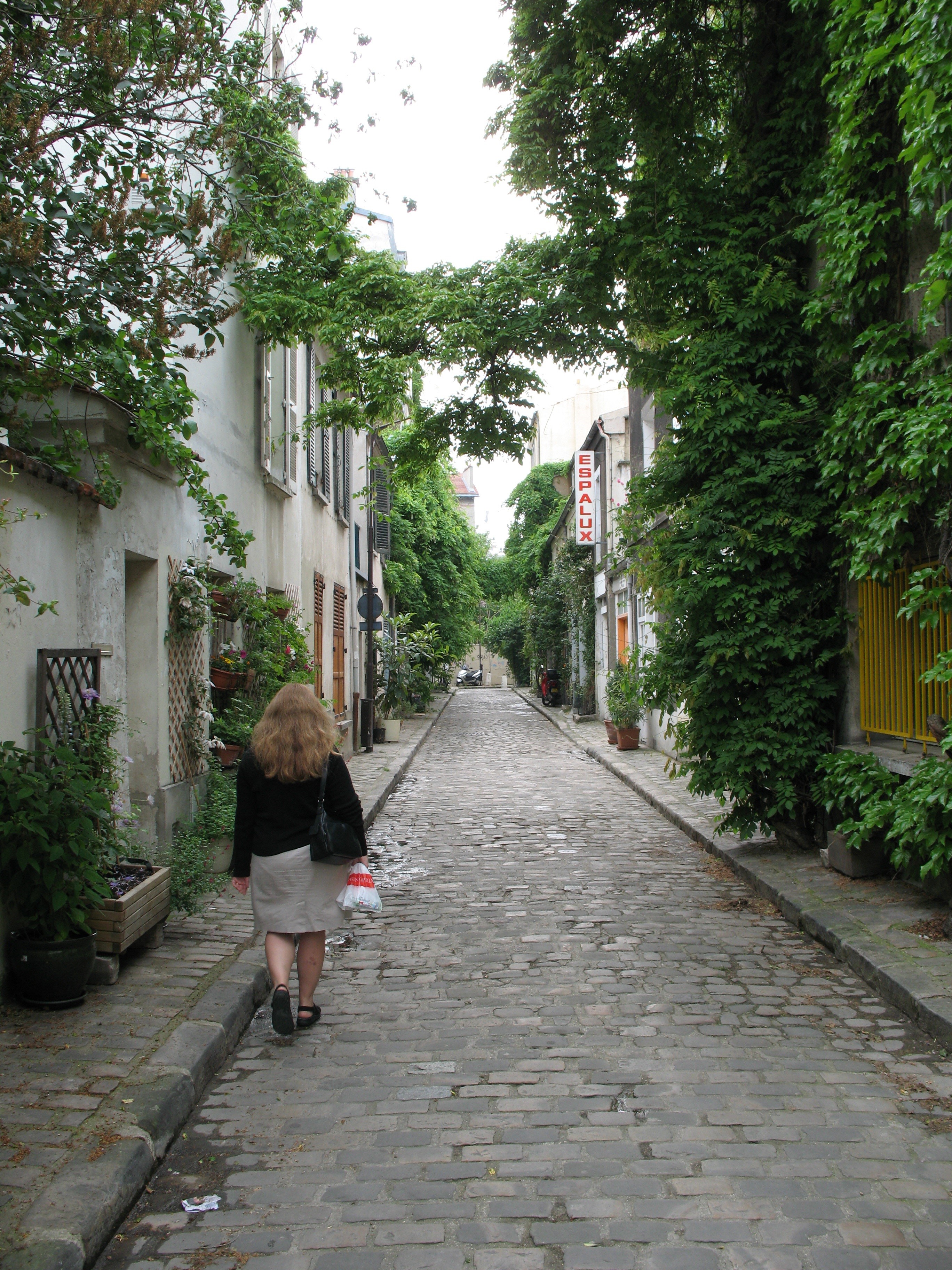 rear view, women, architecture, real people, street, summer, plant, casual clothing, paris, european, outdoors, building, cobble stone, alley, paving stone, Phone HD Wallpaper