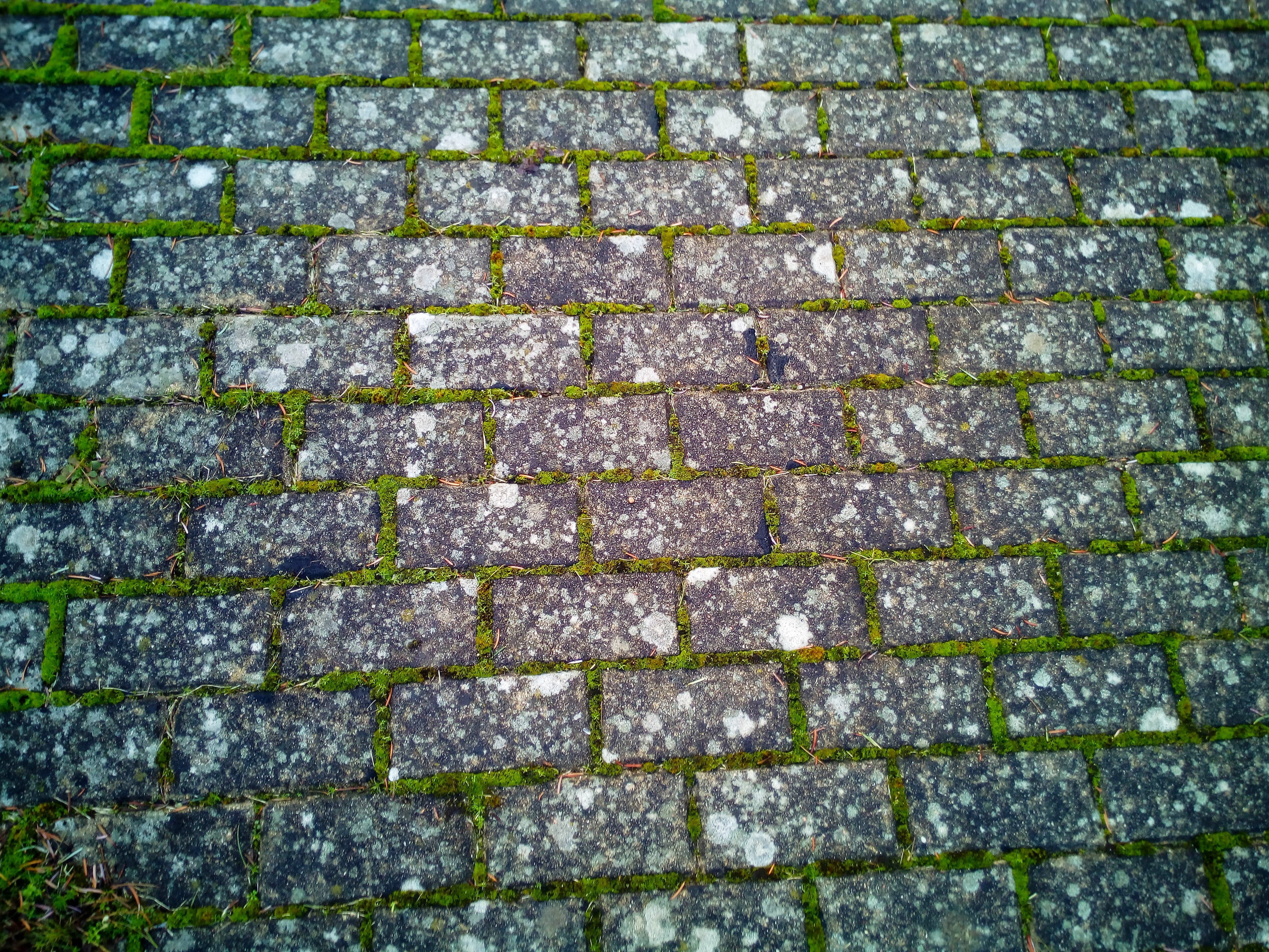 paving stone, architecture, stone, footpath, grass, pavement, stone material, city, outdoors, texture, nature, no people, paving stones, floor, empedrado, HD Wallpaper