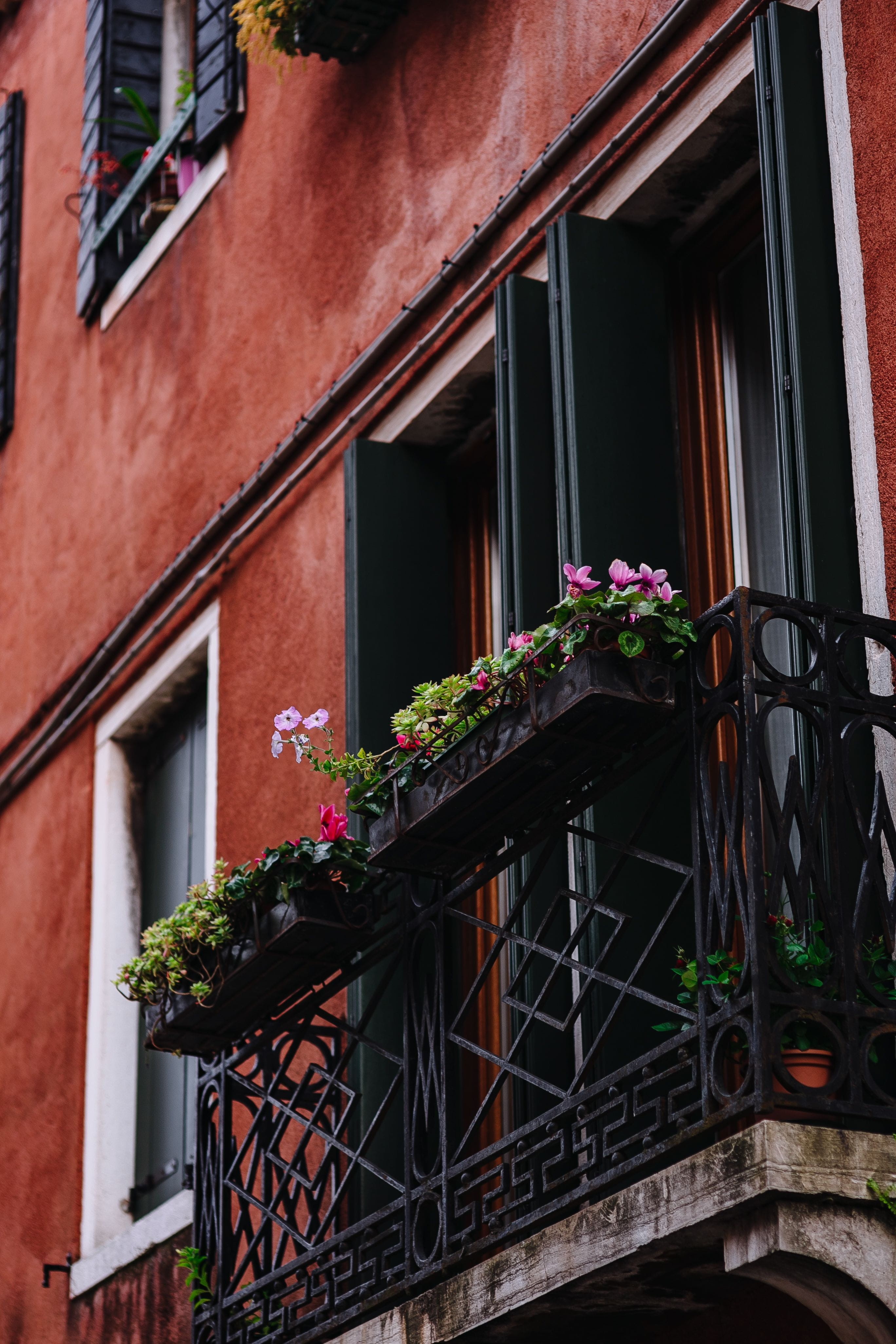 day, balcony, travel, mediterranean, trip, apartment, italian, venice, old houses, tourist, vacations, cultures, architecture, low angle view, flower, Europe, Phone HD Wallpaper