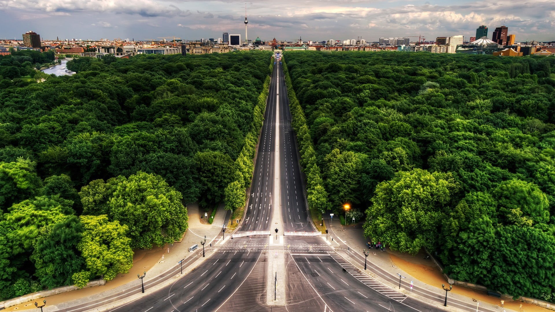day, tree, direction, Berlin, transportation, 1080P, green color, diminishing perspective, black, street, the way forward, outdoors, road, growth, concrete, HD Wallpaper