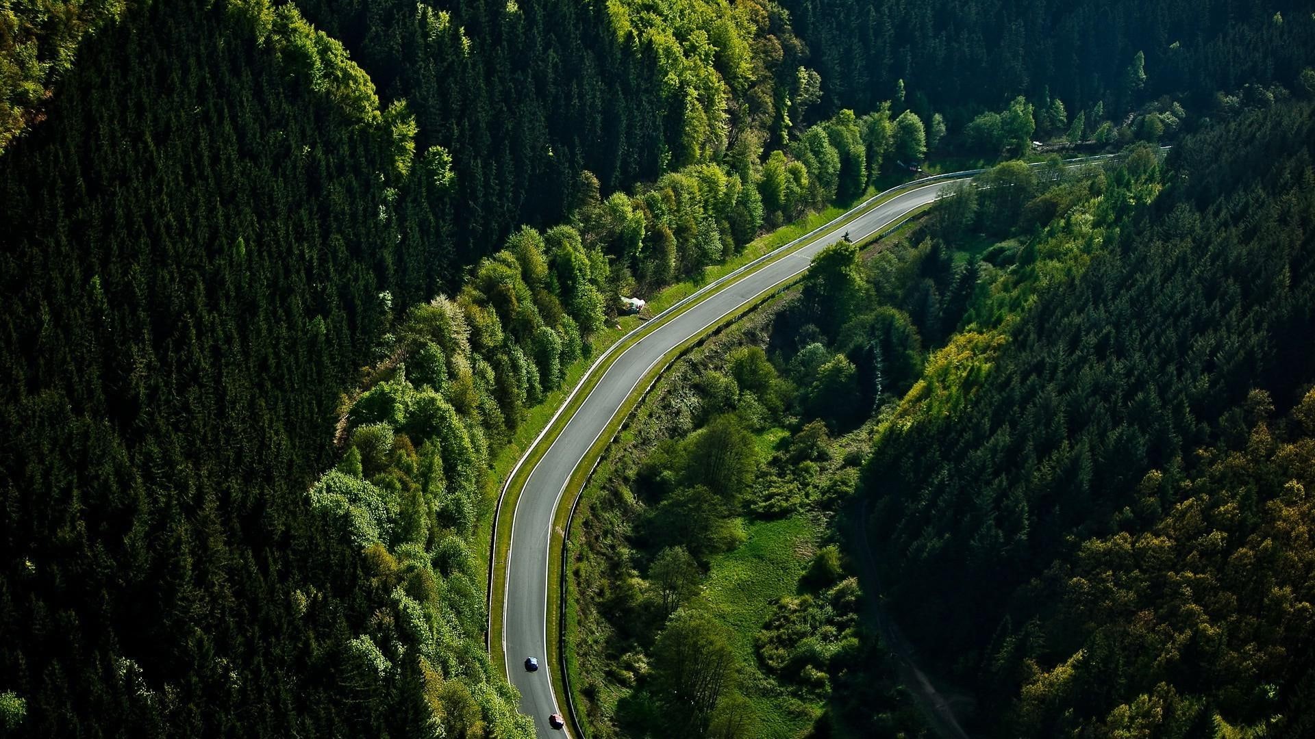 nurburgring, 1080P, germany, 1920x1080, europe, green, leave, trees, world, HD Wallpaper