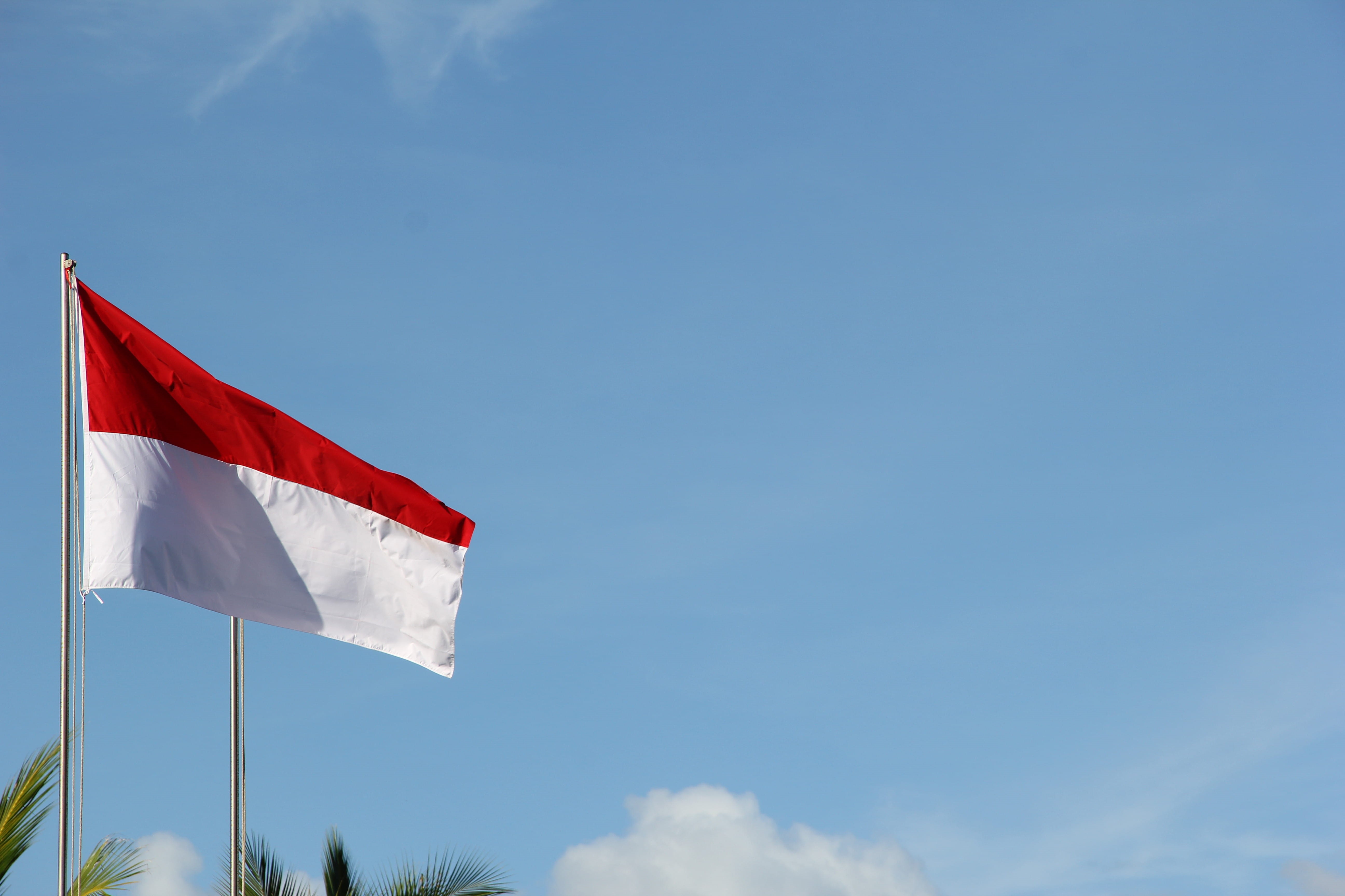 pole, palm, waving, patriotism, copy space, symbol, national, indonesia flag, emblem, daytime, nature, august 27, emotion, minimal, outdoors, pride, indonesia, HD Wallpaper