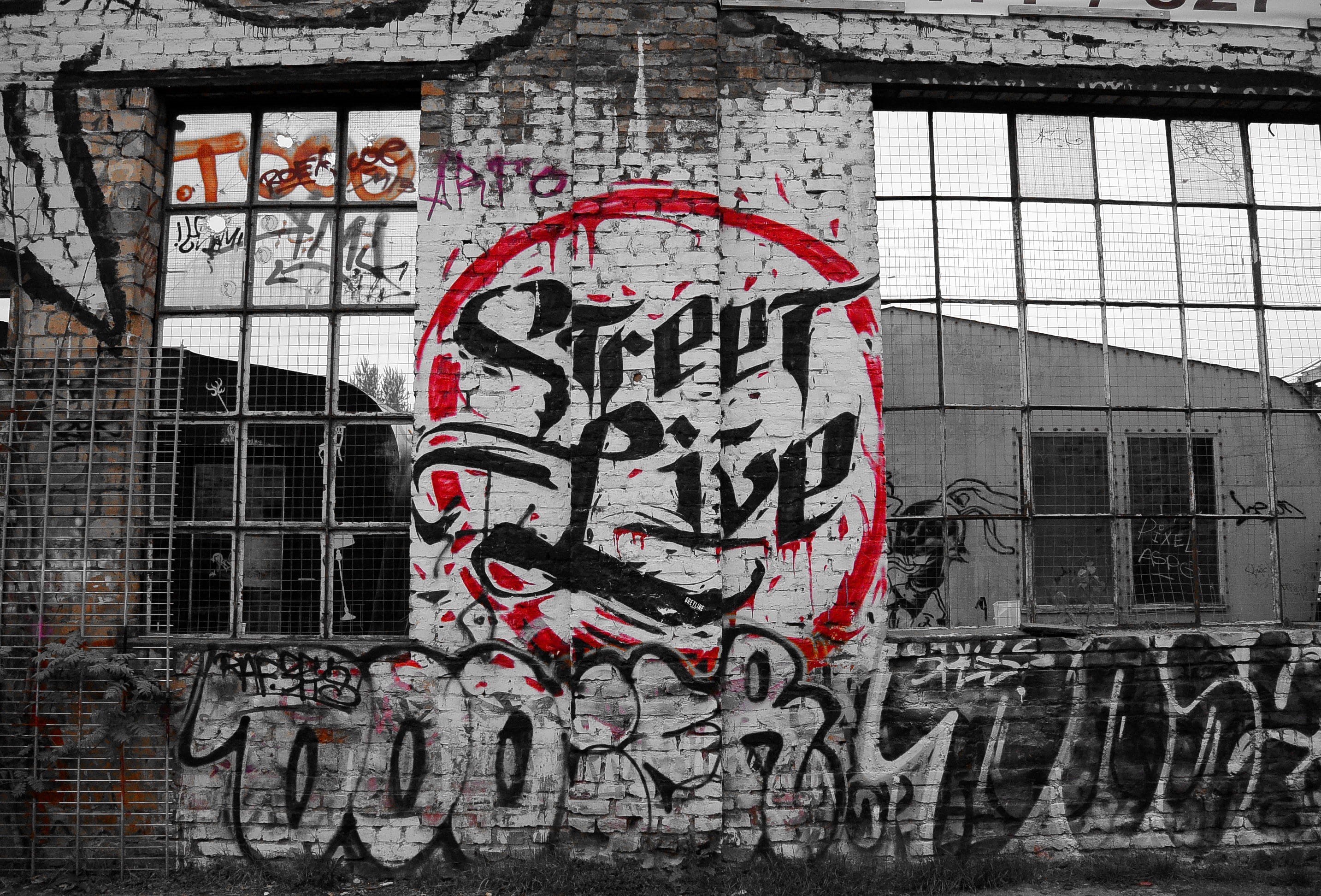 western script, text, no people, raw, sprayer, house facade, day, wall, 2K, war, communication, building, window, creativity, berlin, art and craft, Graffiti, HD Wallpaper