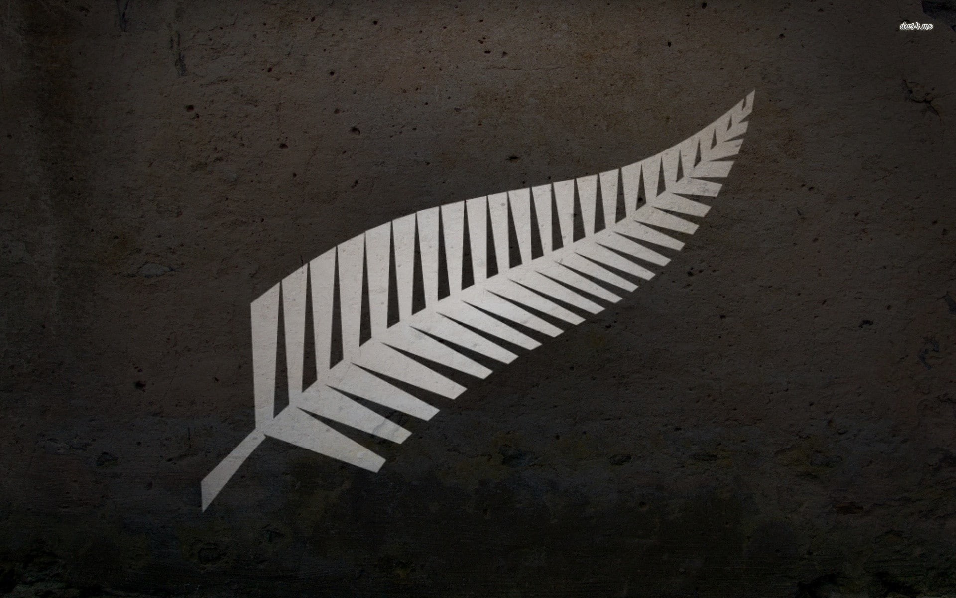 New Zealand, 1920x1200, 4k pic, sports, Rugby, 1080P, Blacks, HD Wallpaper