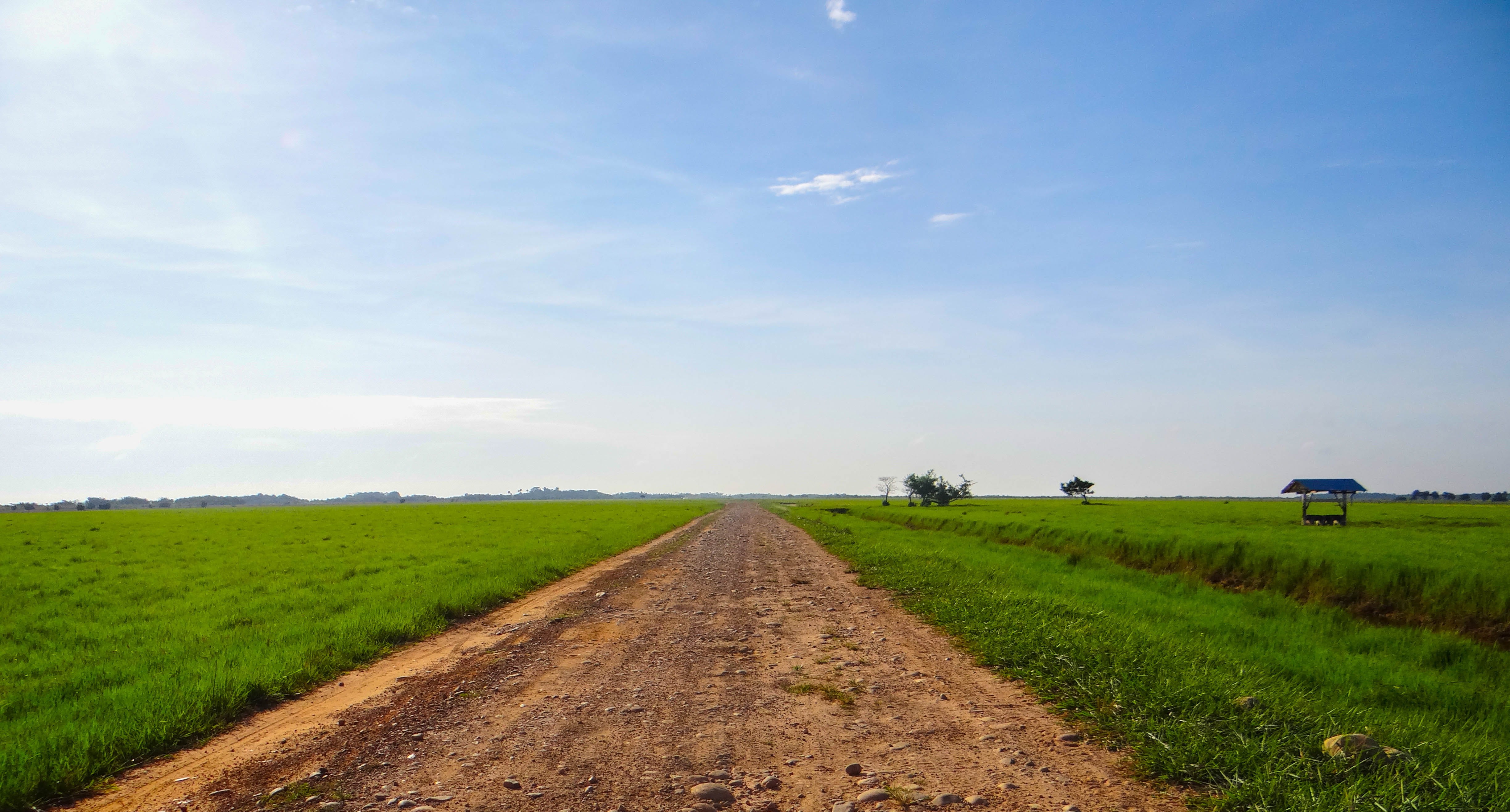 llanero, day, offroad, oriental lands, landscape, outdoors, environment, field, no people, road, diminishing perspective, green color, direction, vanishing point, HD Wallpaper