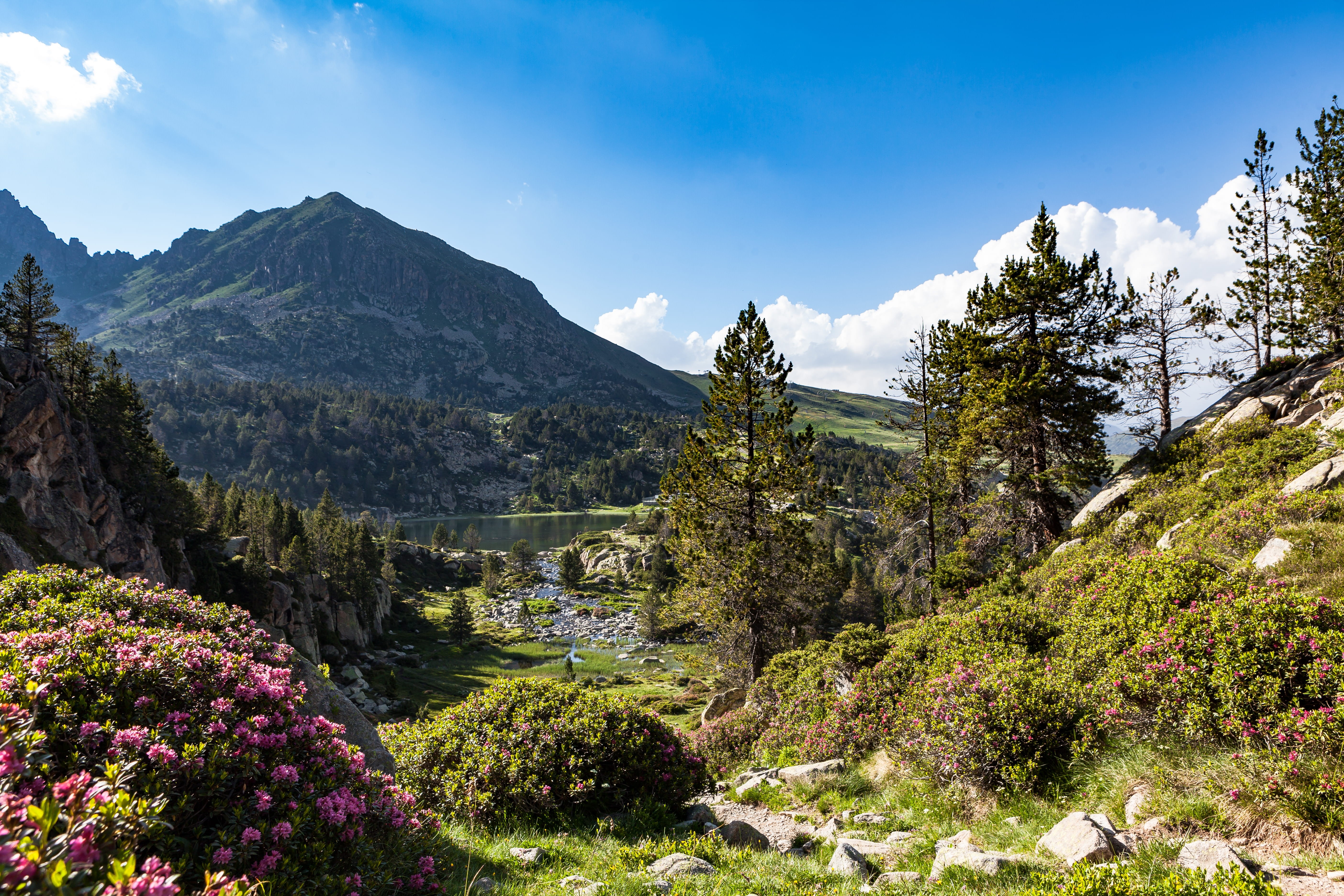 mountain range, 5K, scenics - nature, flowering plant, sky, outdoors, andorra, non-urban scene, cloud - sky, tree, nature, encamp, tranquil scene, landscape, HD Wallpaper