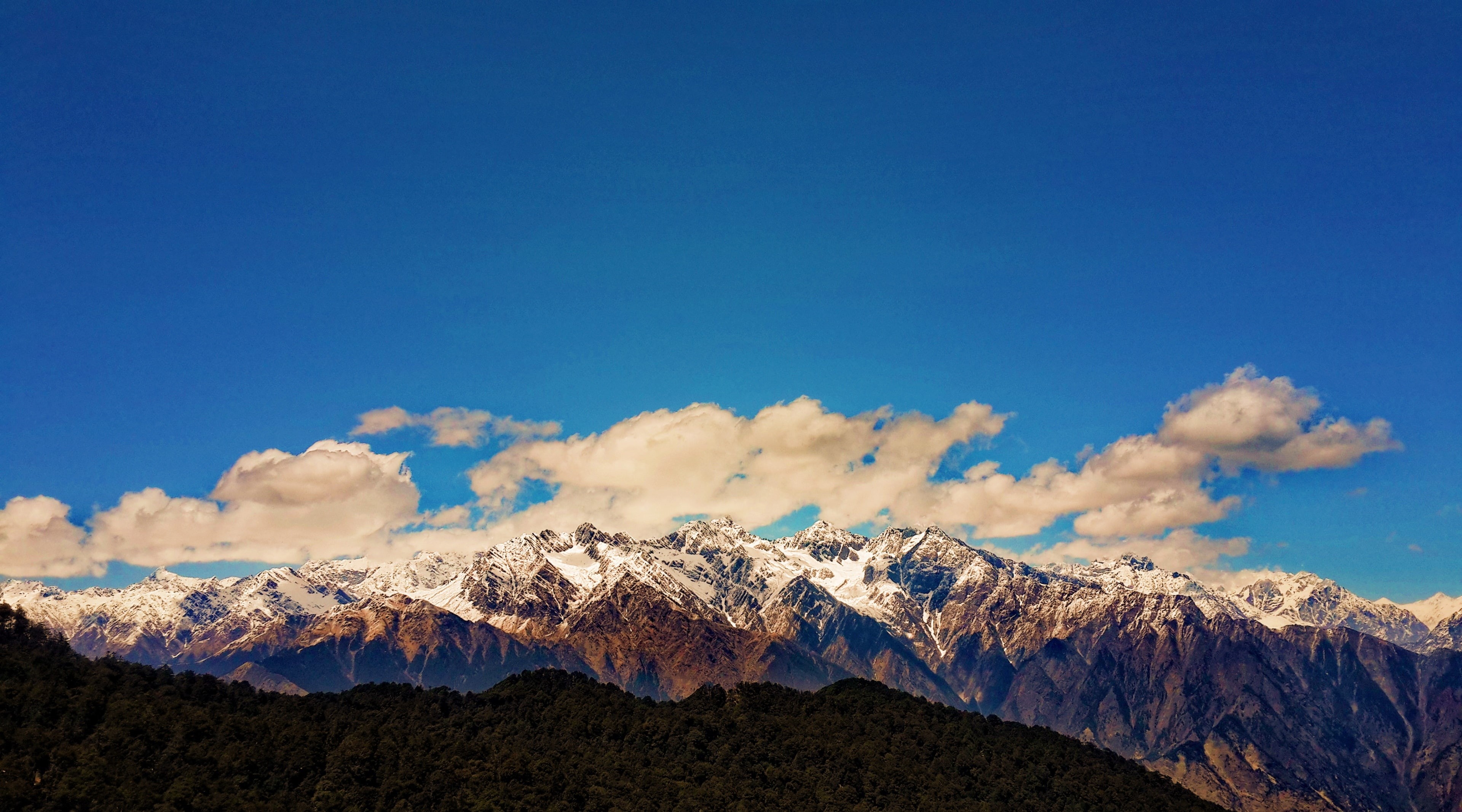brown, snowcapped mountain, bugyal, mountain peak, bluesky, snow, 4K, Clouds, pine tree, landscape, outdoors, winter, non-urban scene, auli, cold temperature, HD Wallpaper