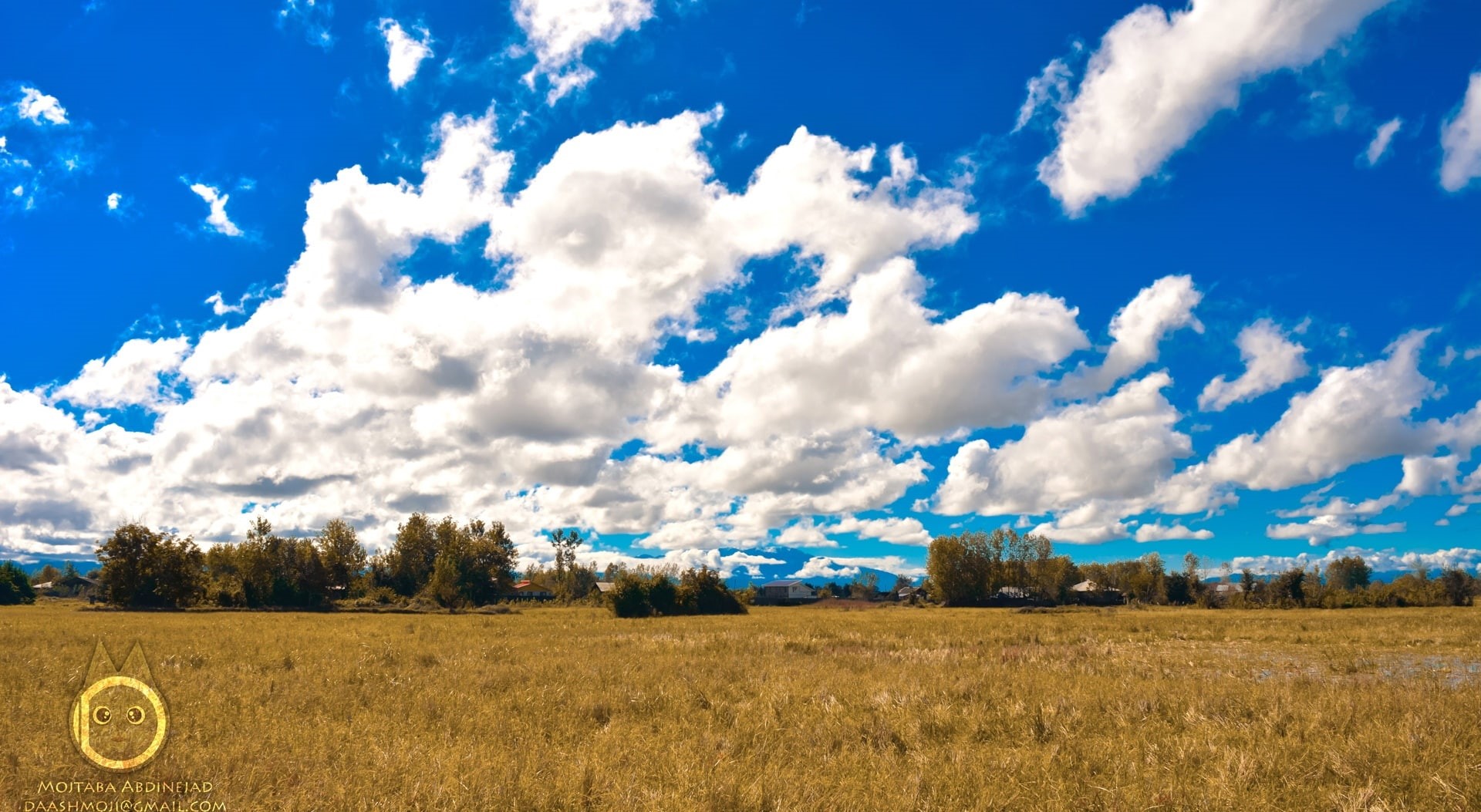alibozaye, field, forest, cloud - sky, bluesky, clouds, rural scene, plantation, 1080P, autumn, sky, north, tranquility, lashtenesha, plant, tree, no people, HD Wallpaper