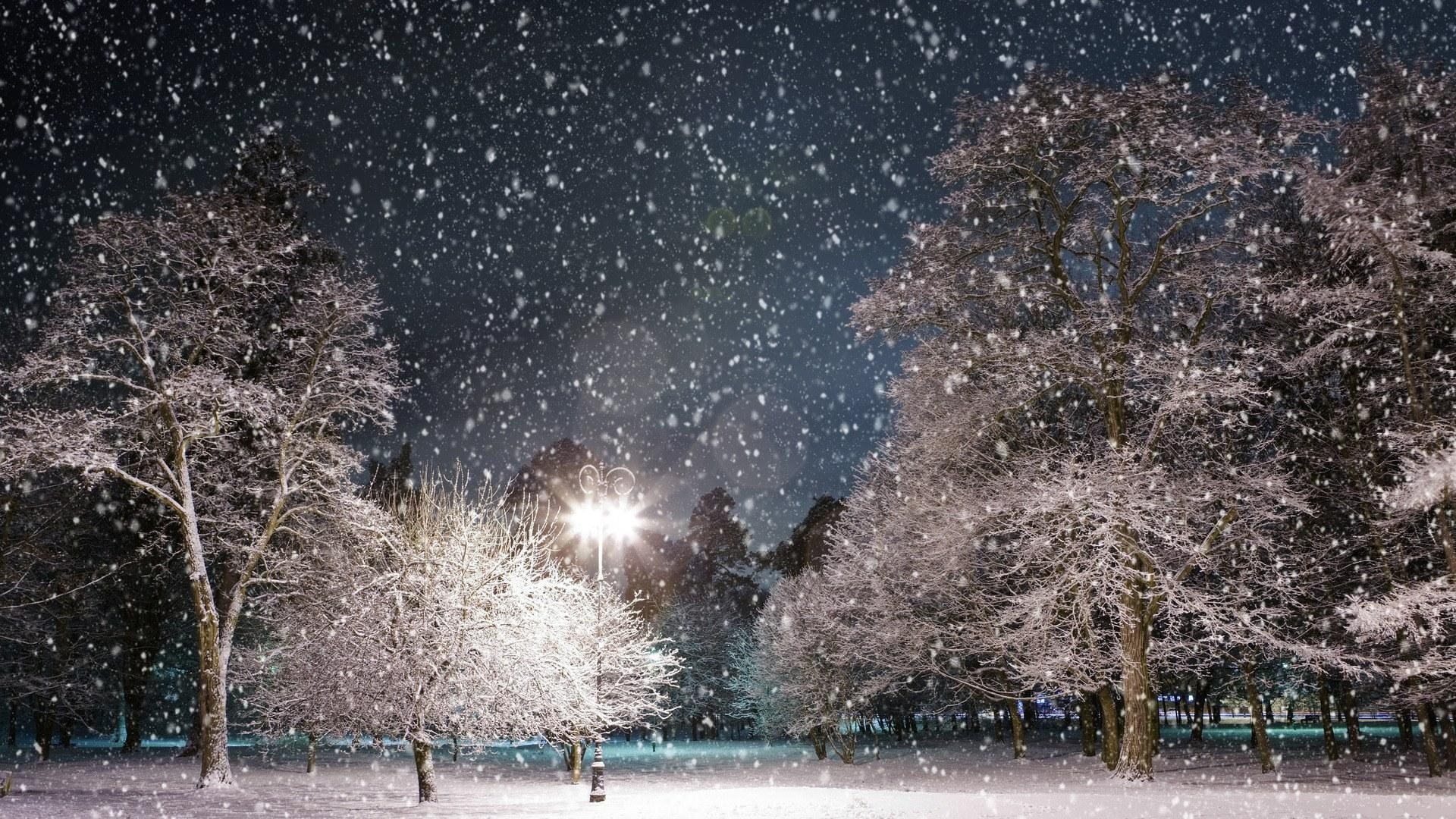 snow, 1080P, snowflakes, trees, lamppost, winter, white, snowfall, 3d and abstract, bluesky, HD Wallpaper