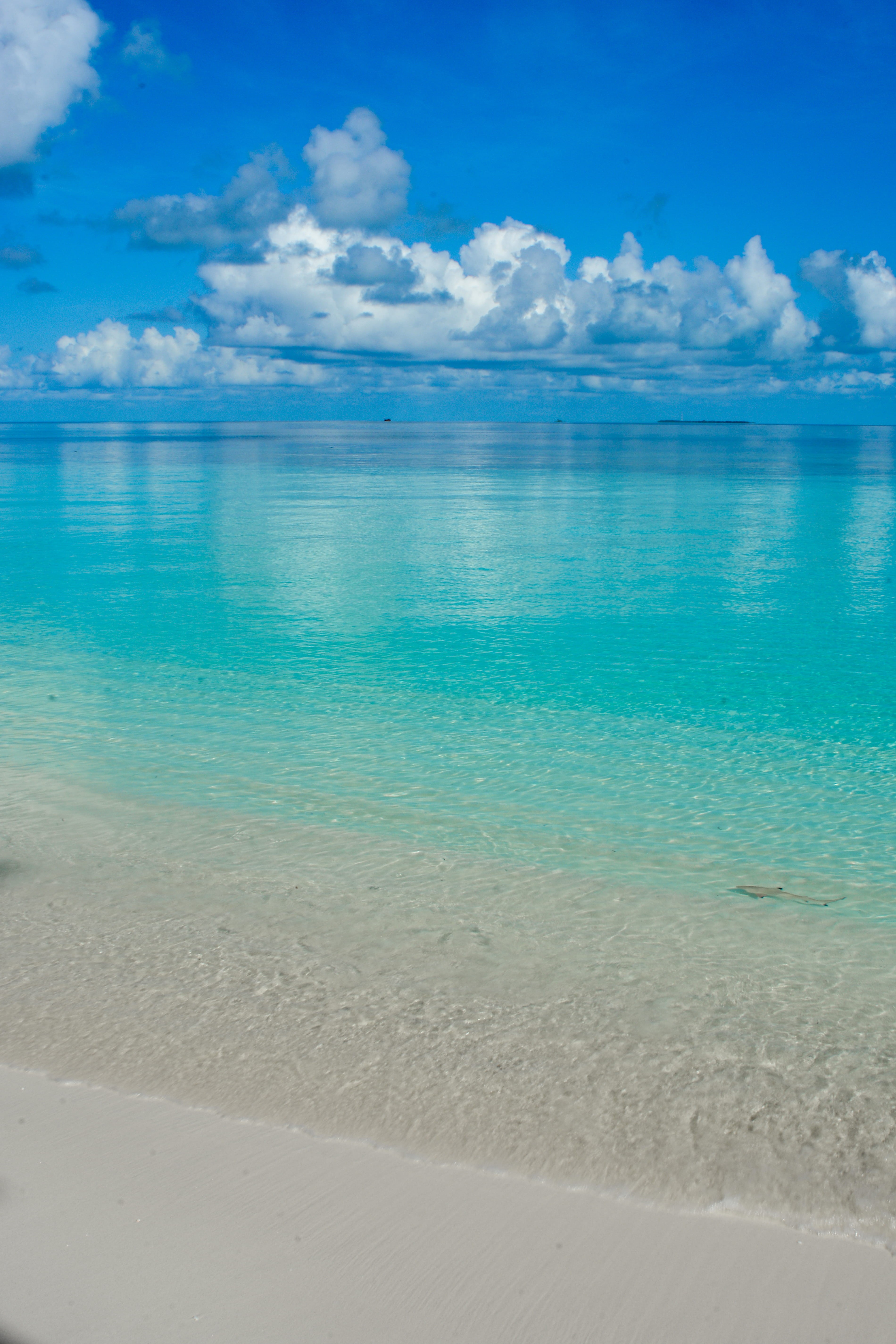 purity, beauty in nature, cloud - sky, tropicalvibe, maldives, sand, idyllic, land, day, sea, tropical, water, bluesky, beach, aqua, outdoors, relaxing, Phone HD Wallpaper