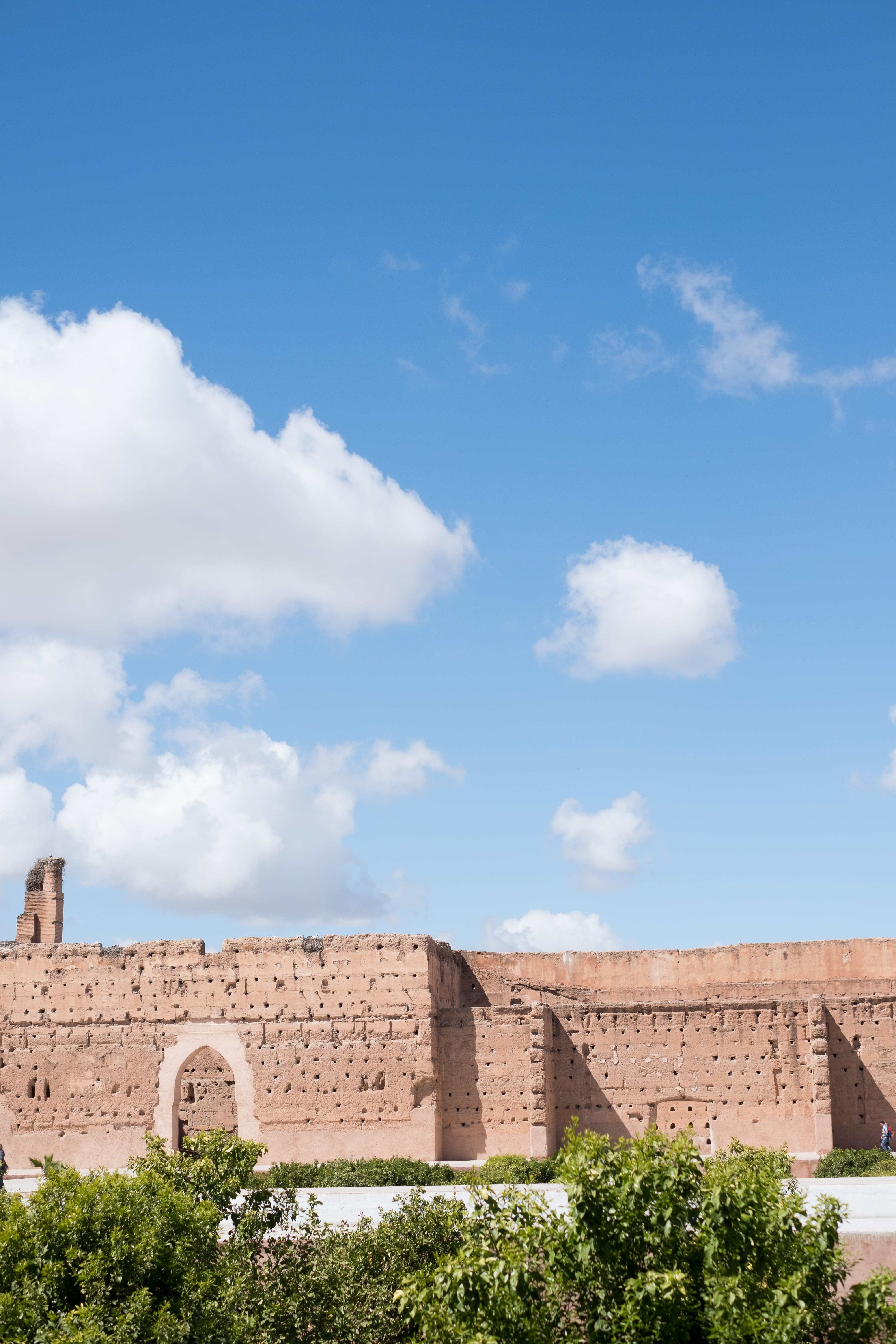 sunlight, tourism, ancient, nest, travel destinations, plant, built structure, outdoors, old, sky, morocco, cloud - sky, nature, architecture, holiday, Phone HD Wallpaper