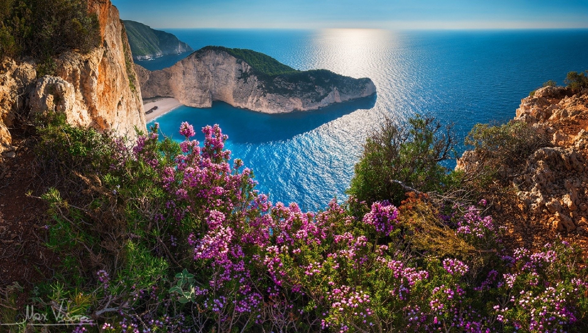 Pink Flower, Greece, Flower, Mykonos, Horizon, Rock, Earth, 1080P, Coast, Ocean, HD Wallpaper