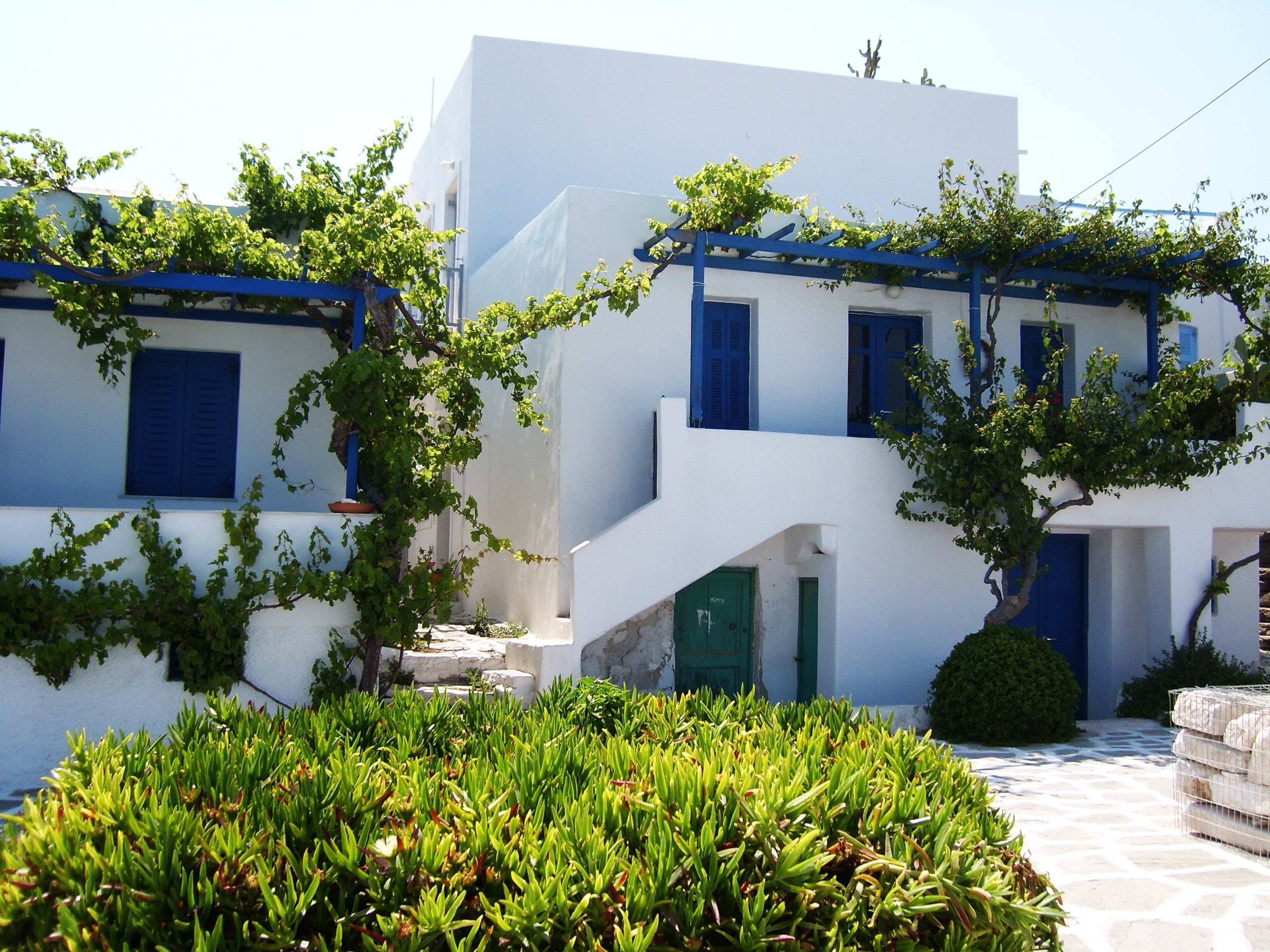 sunlight, vegetation, white color, mykonos, apartment, growth, built structure, residential district, green color, window, blue, plant, architecture, house greek, HD Wallpaper