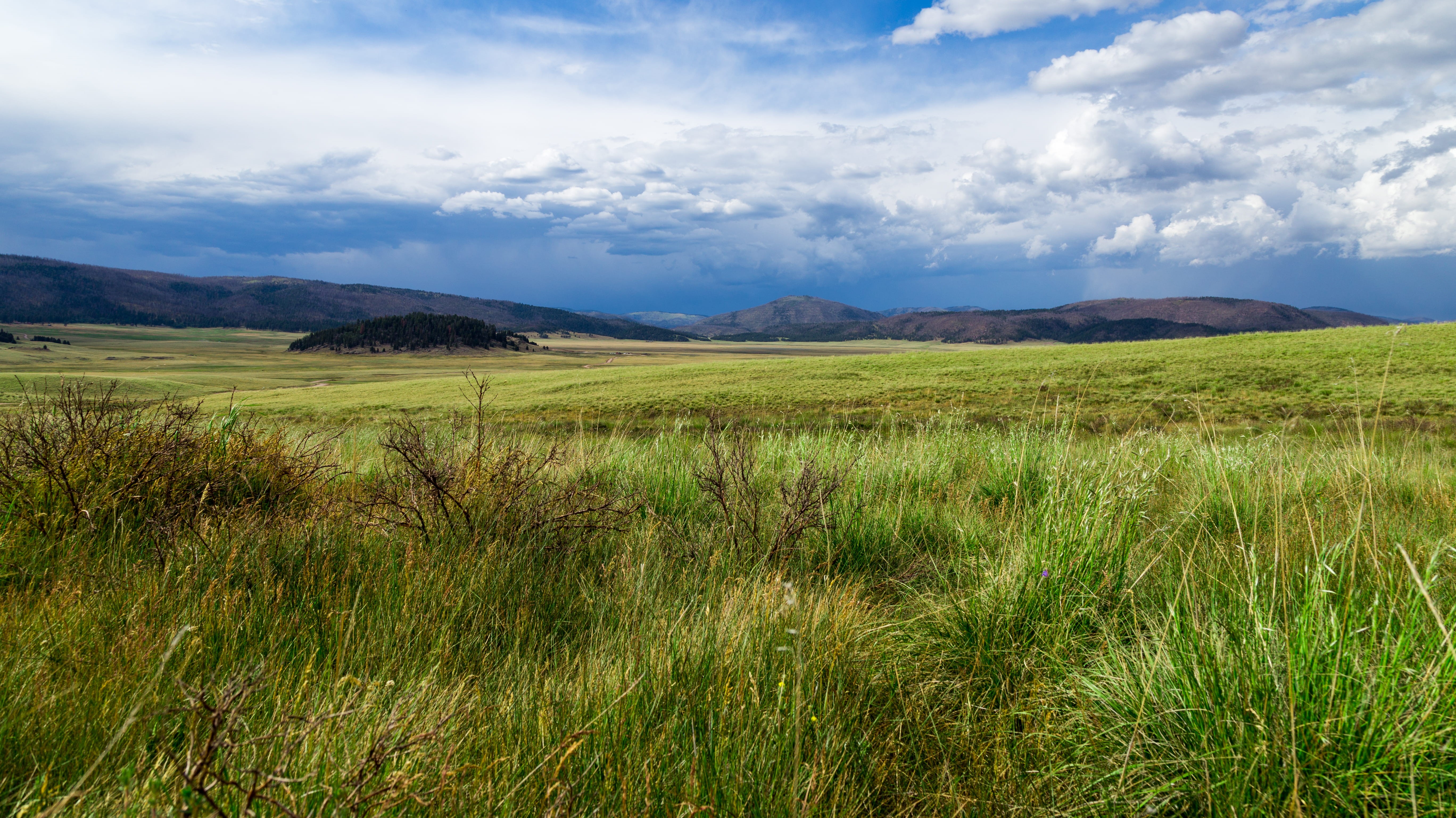 no people, 5K, nature, non-urban scene, hills, united states, landscape, green color, tranquility, day, outdoors, cloud - sky, rolling landscape, valles caldera, HD Wallpaper