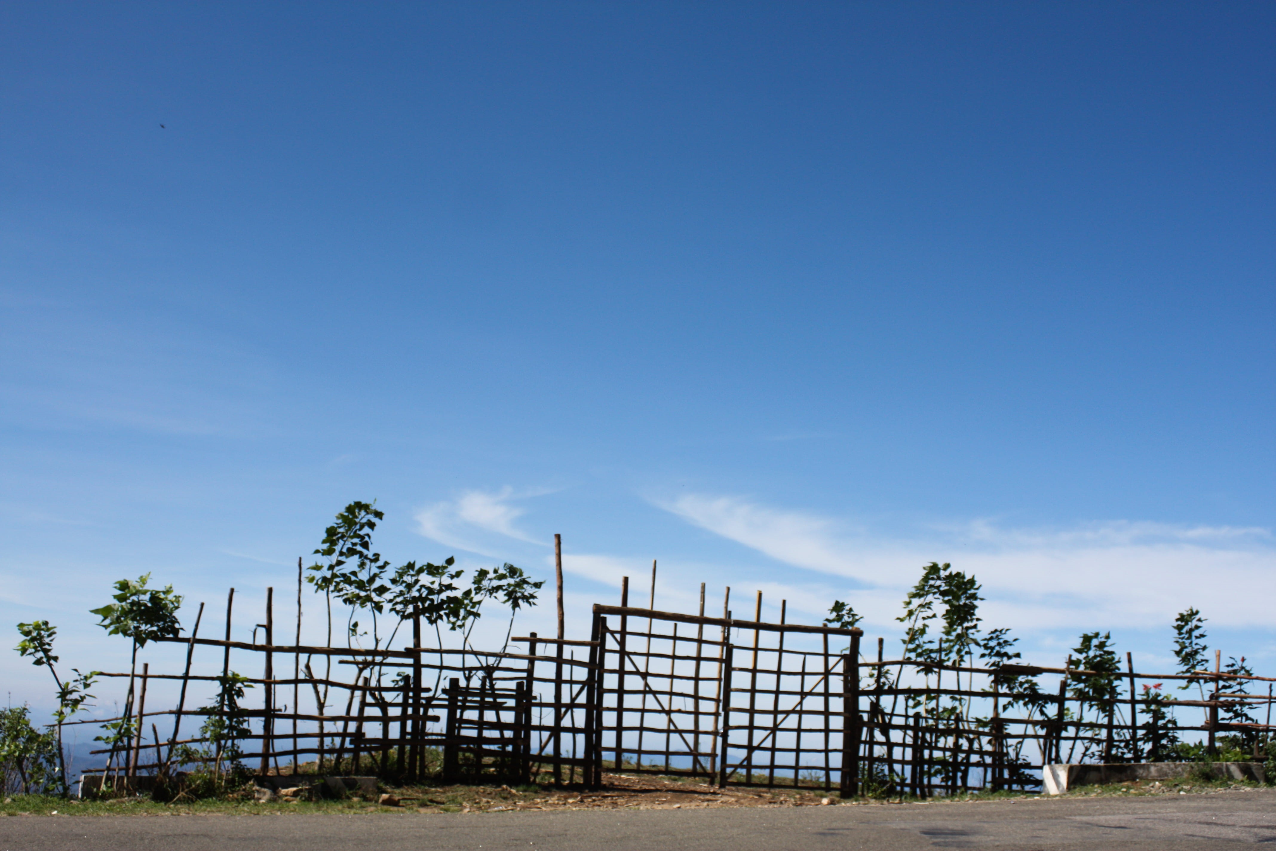 barrier, kerela, travel, field, road, security, mountains, munnar, trip, plants, boundary, hills, sky, beauty in nature, safety, tree, land, nature, fence, HD Wallpaper