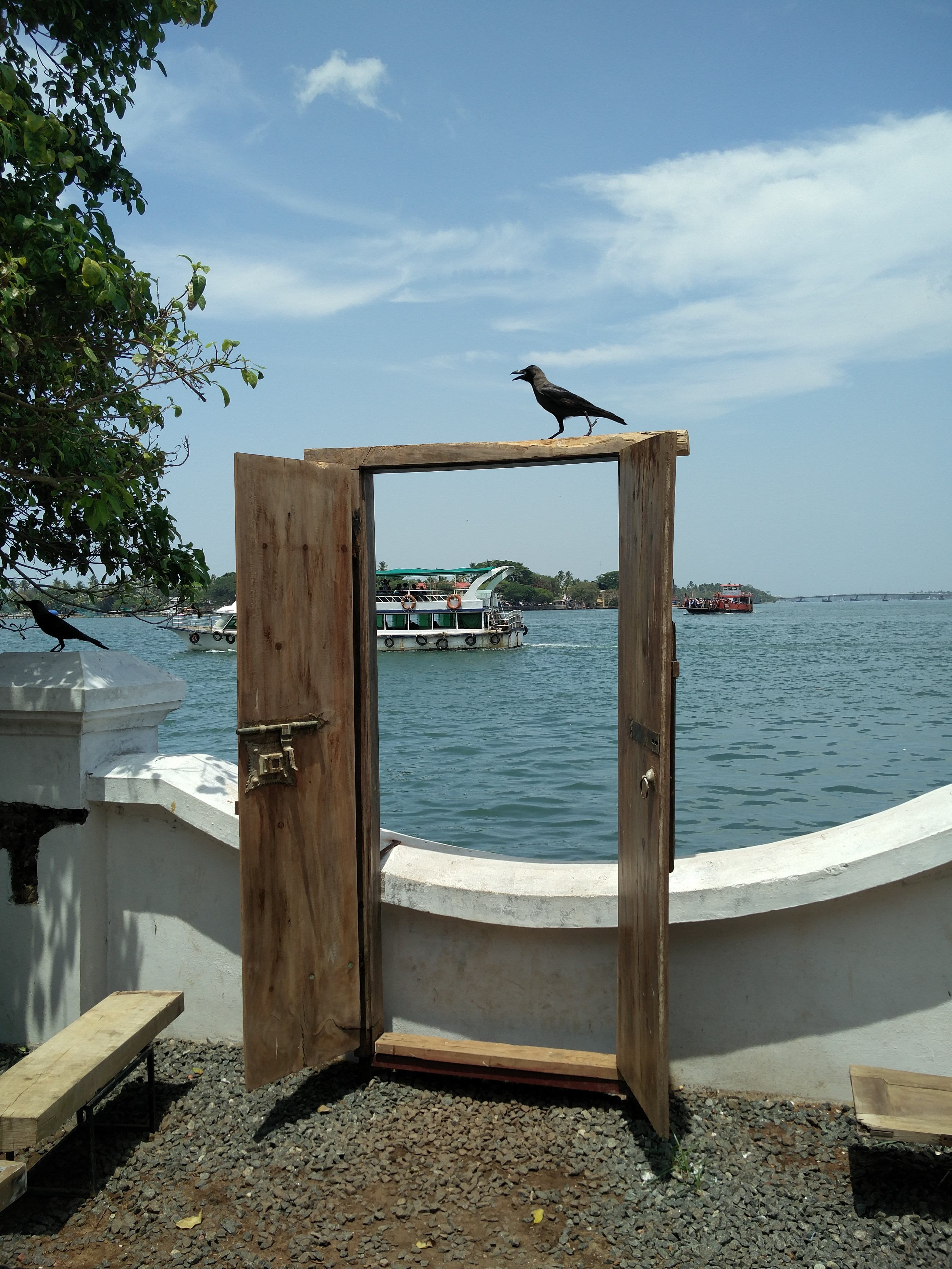 tree, mode of transportation, nautical vessel, waterfront, door, wood - material, day, gate, wooden post, built structure, beach, no people, beauty in nature, Phone HD Wallpaper