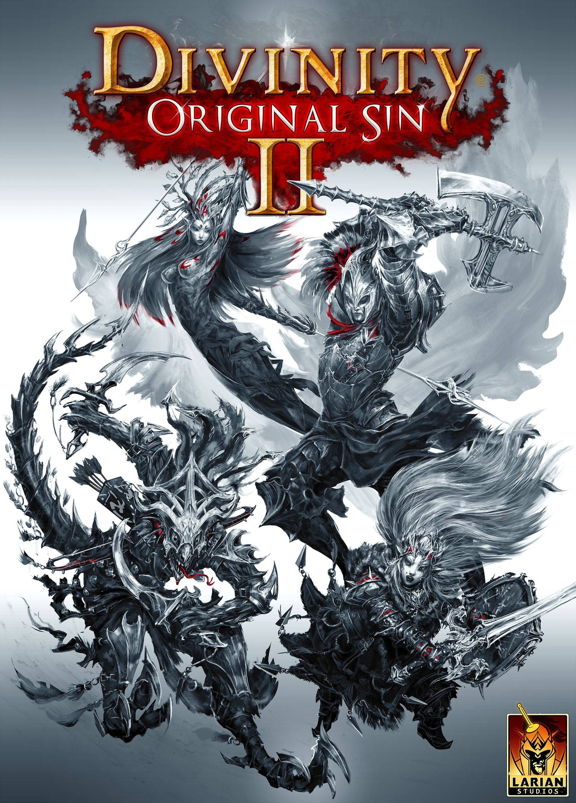 2K, video games, Divinity: Original Sin 2, Divinity: Original Sin, Game poster, Phone HD Wallpaper