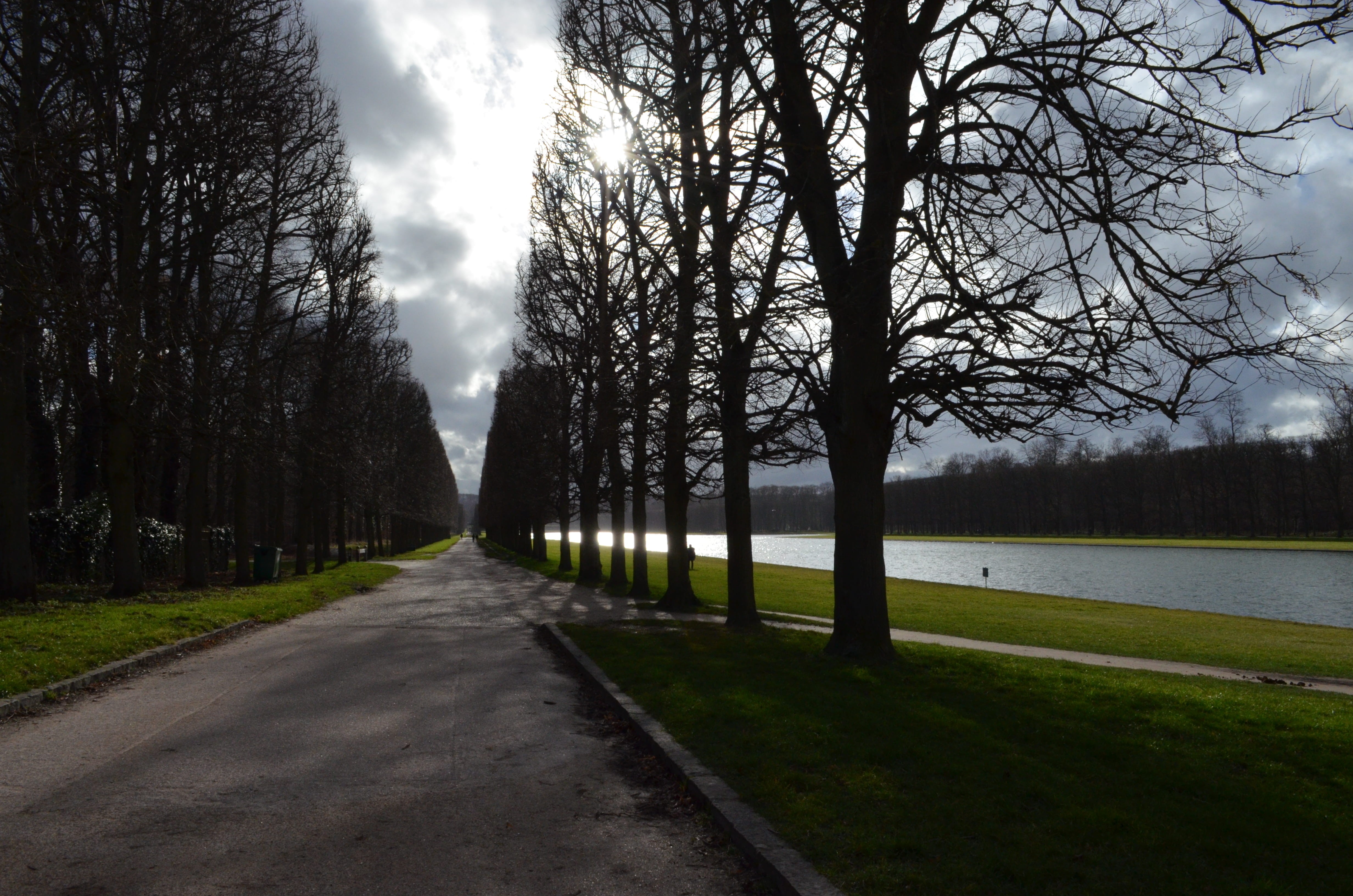 trees, versailles, treelined, path, tranquility, plant, gardens, the way forward, no people, trunk, grass, water, direction, empty, tree, cloud - sky, transportation, HD Wallpaper