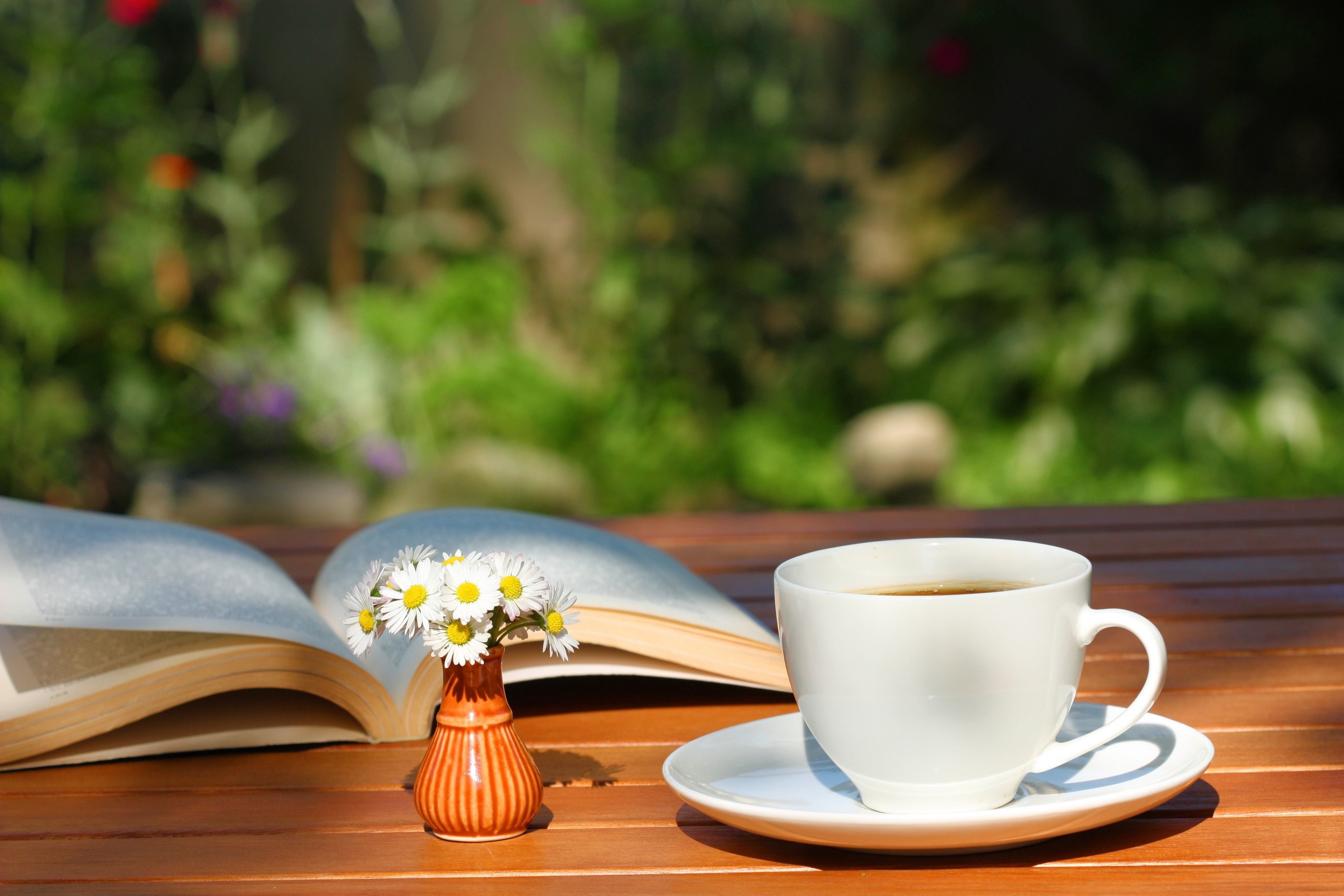 backgrounds, brown, plant, HD, spoon, cappuccino, breakfast, focus on foreground, crockery, widescreen, close-up, morning, outdoors, saucer, HD Wallpaper