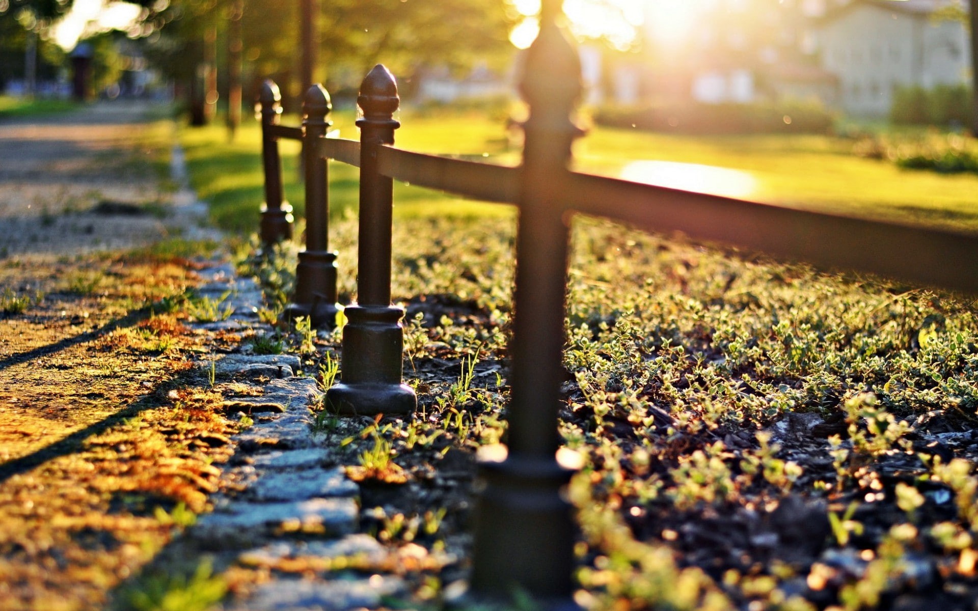 bokeh, fence, trees, 1080P, framed, close-up, balustrade, Nature, herbs, close, Macro, background, fullscreen, sun, fencing, grass, blur, black, widescreen, HD Wallpaper