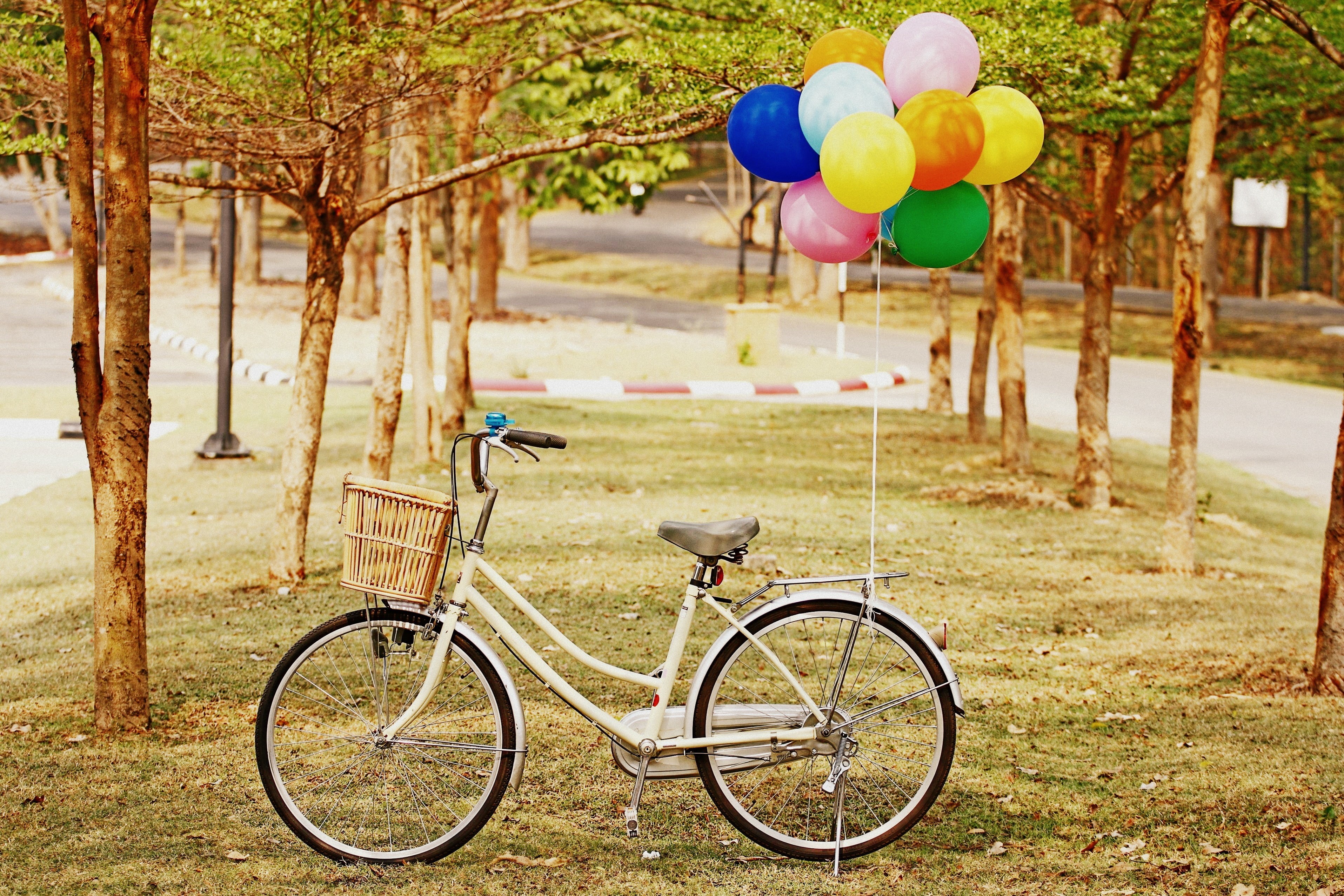 wheel, multi colored, balls, widescreen, growth, nature, transportation, cruiser, HD, grass, basket, mood, bike, fullscreen, 2K, HD Wallpaper