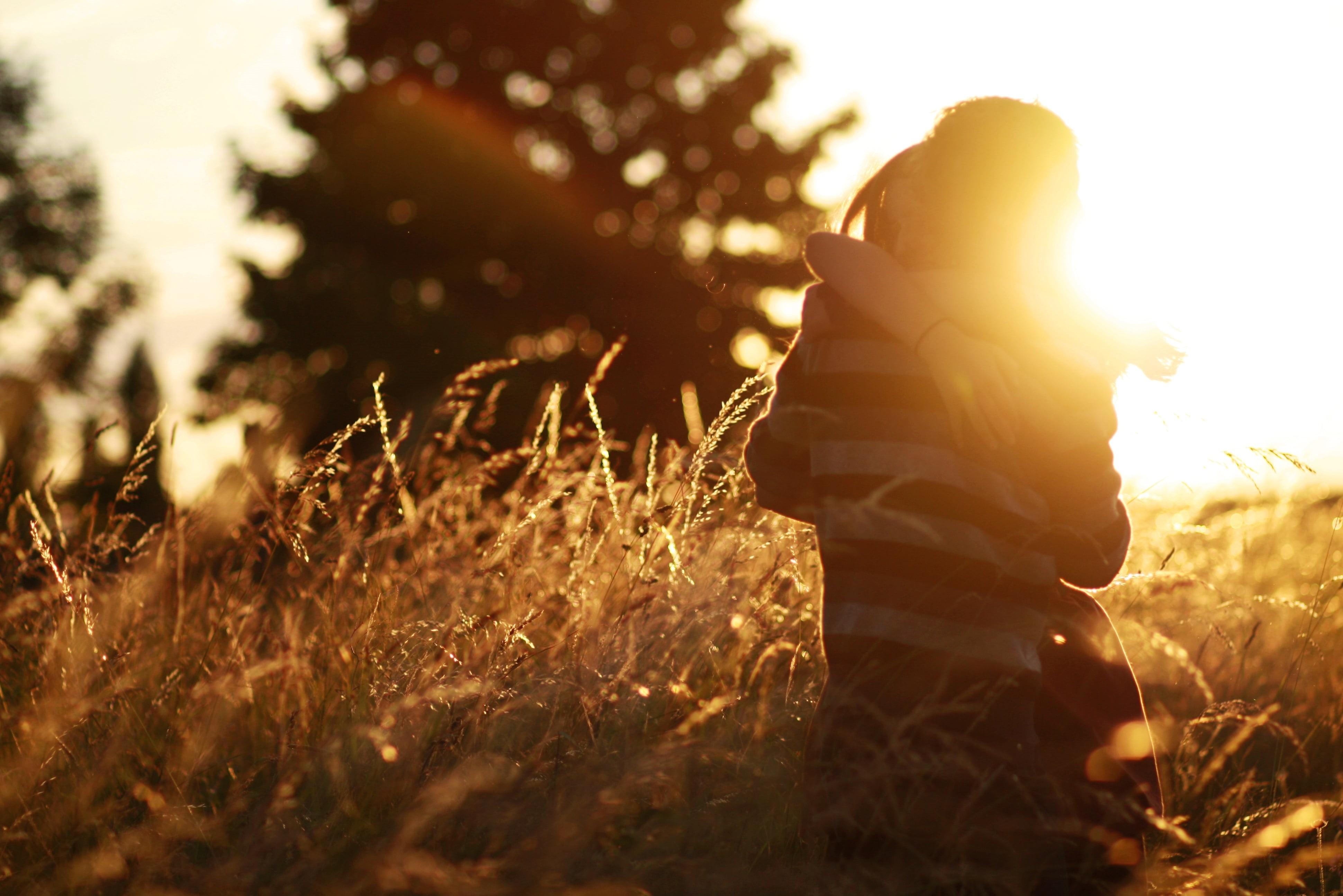 sun, autumn, recreational Pursuit, day, growth, fullscreen, beauty, healthy Lifestyle, relaxation, guy, silhouette, the sun, leisure Activity, cheerful, HD Wallpaper