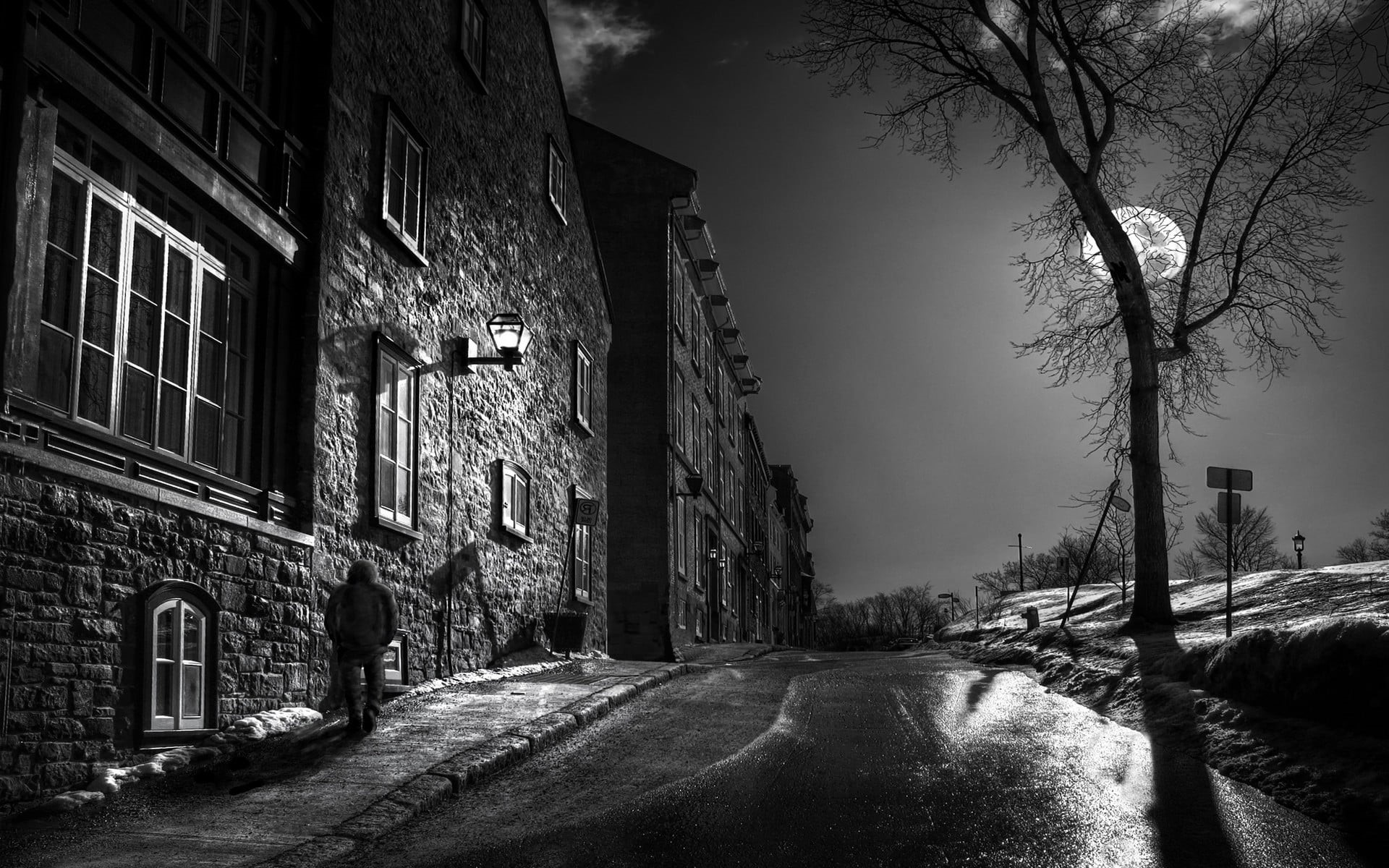 plant, snow, built structure, architecture, building, direction, cold temperature, night, walking, monochrome, person, transportation, road, tree, old, HD Wallpaper