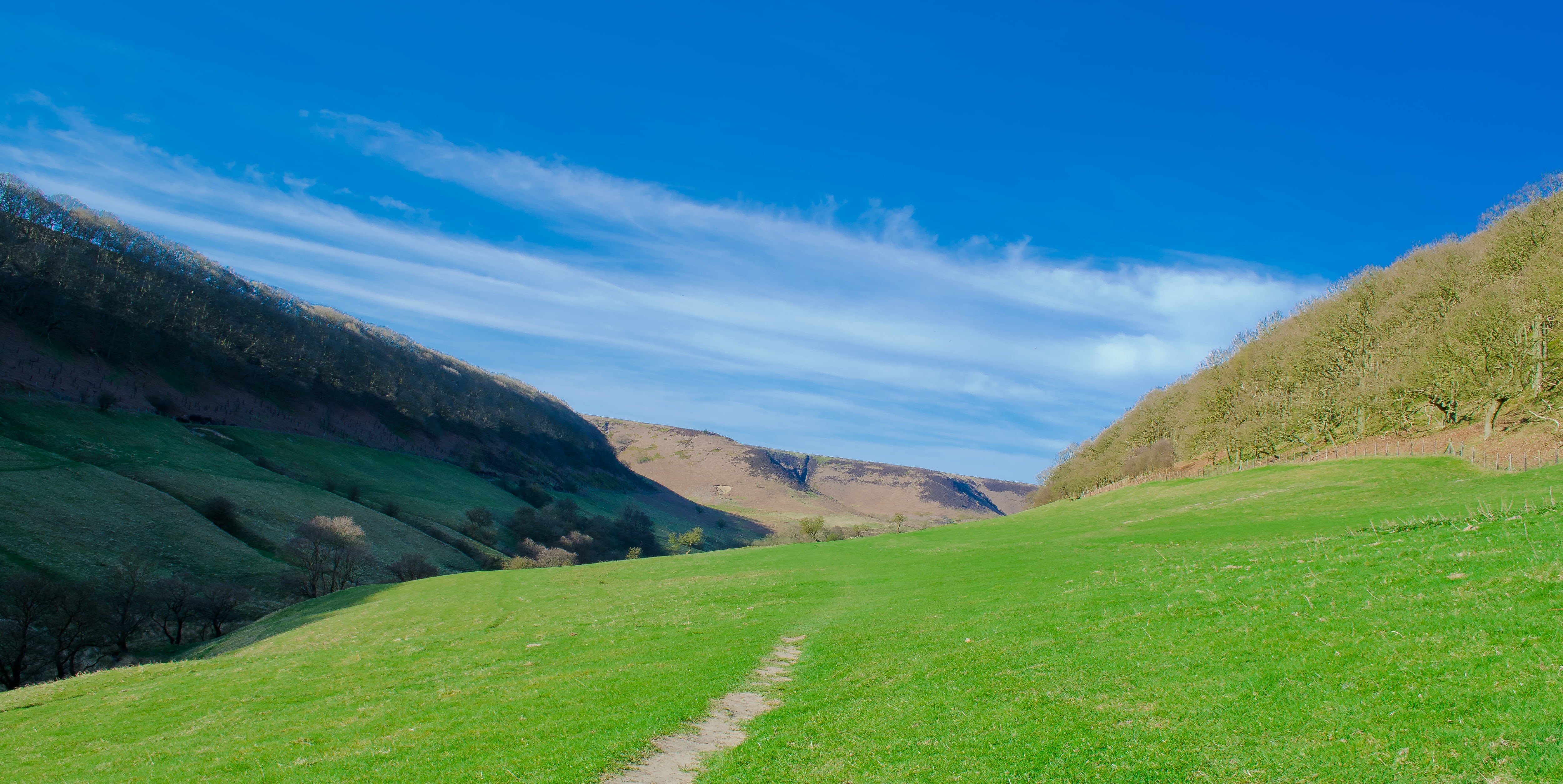 state, clear, landscape, JRR Tolkien, moorland, forest, focal_length, twitter, Ryedale, green, outdoors, tuition, model, sports, school  website, nikon corporation, HD Wallpaper