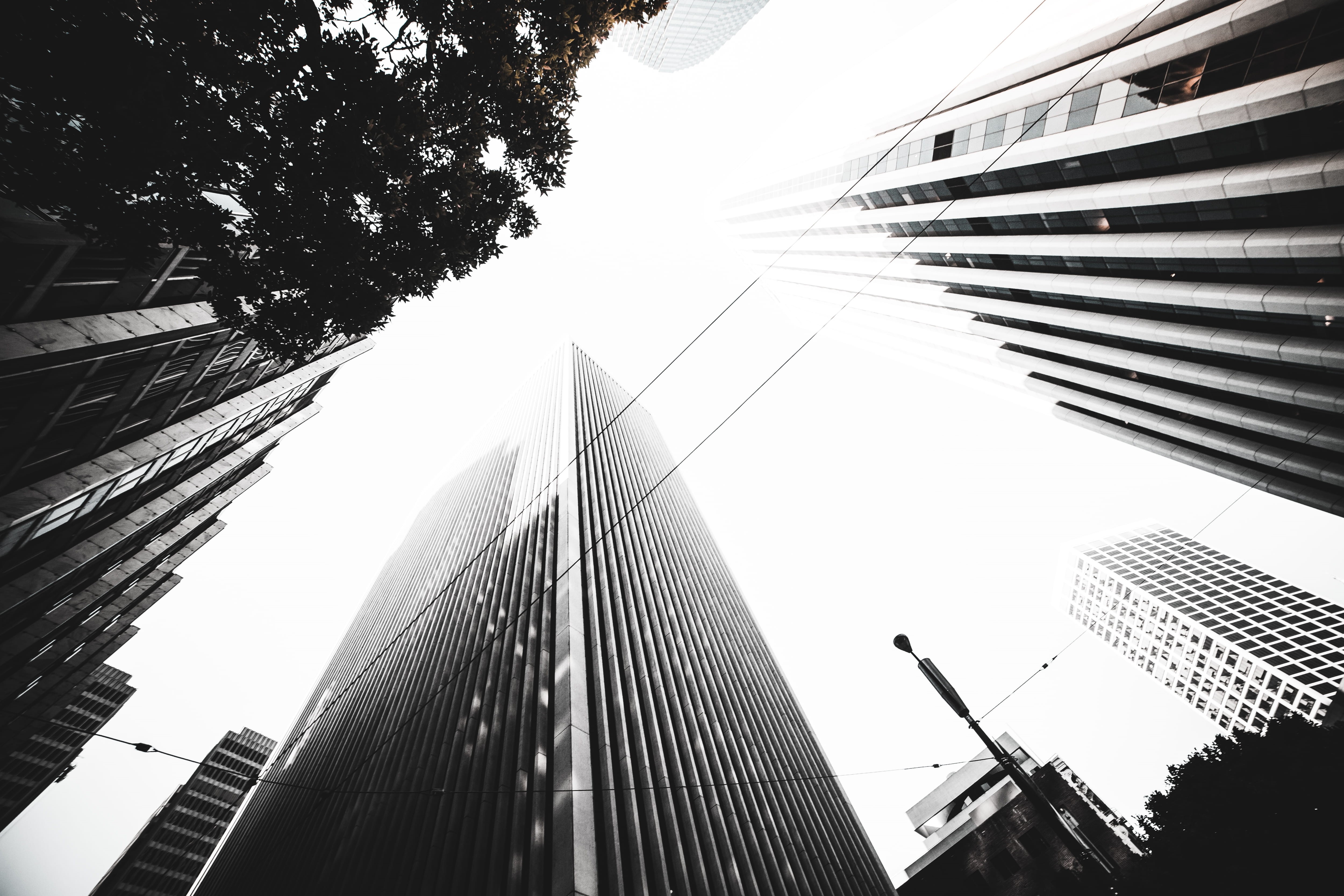 finance, tall - high, business, building exterior, nature, no people, city, skyscraper, 4K, connection, office building exterior, built structure, modern, HD Wallpaper