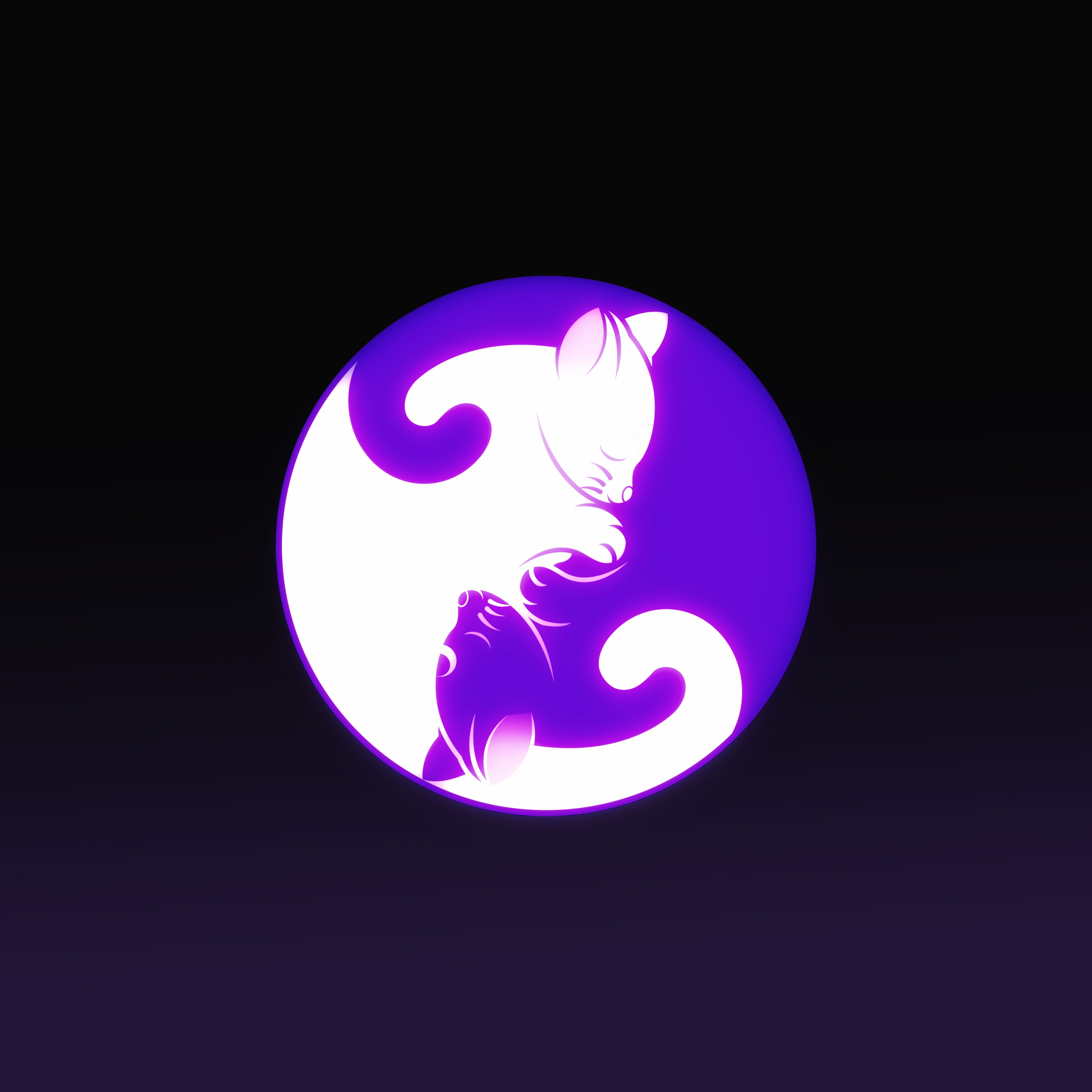 harmony, yin yang, yin and yang, cat, 4K, Phone HD Wallpaper
