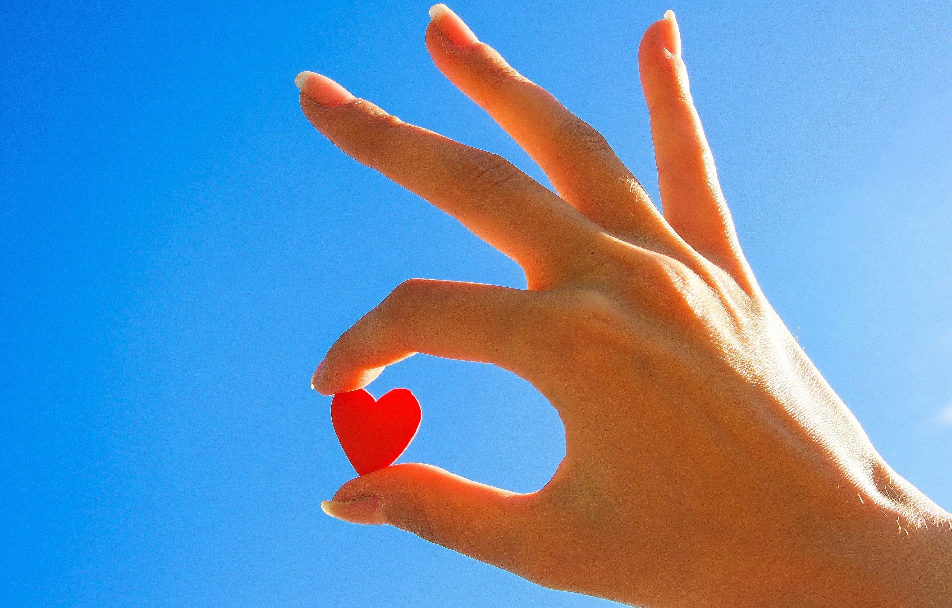 holding, finger, sign, symbol, mood, human Hand, hand, accessory, close-up, human limb, blue background, body part, gesturing, red, concepts, HD Wallpaper