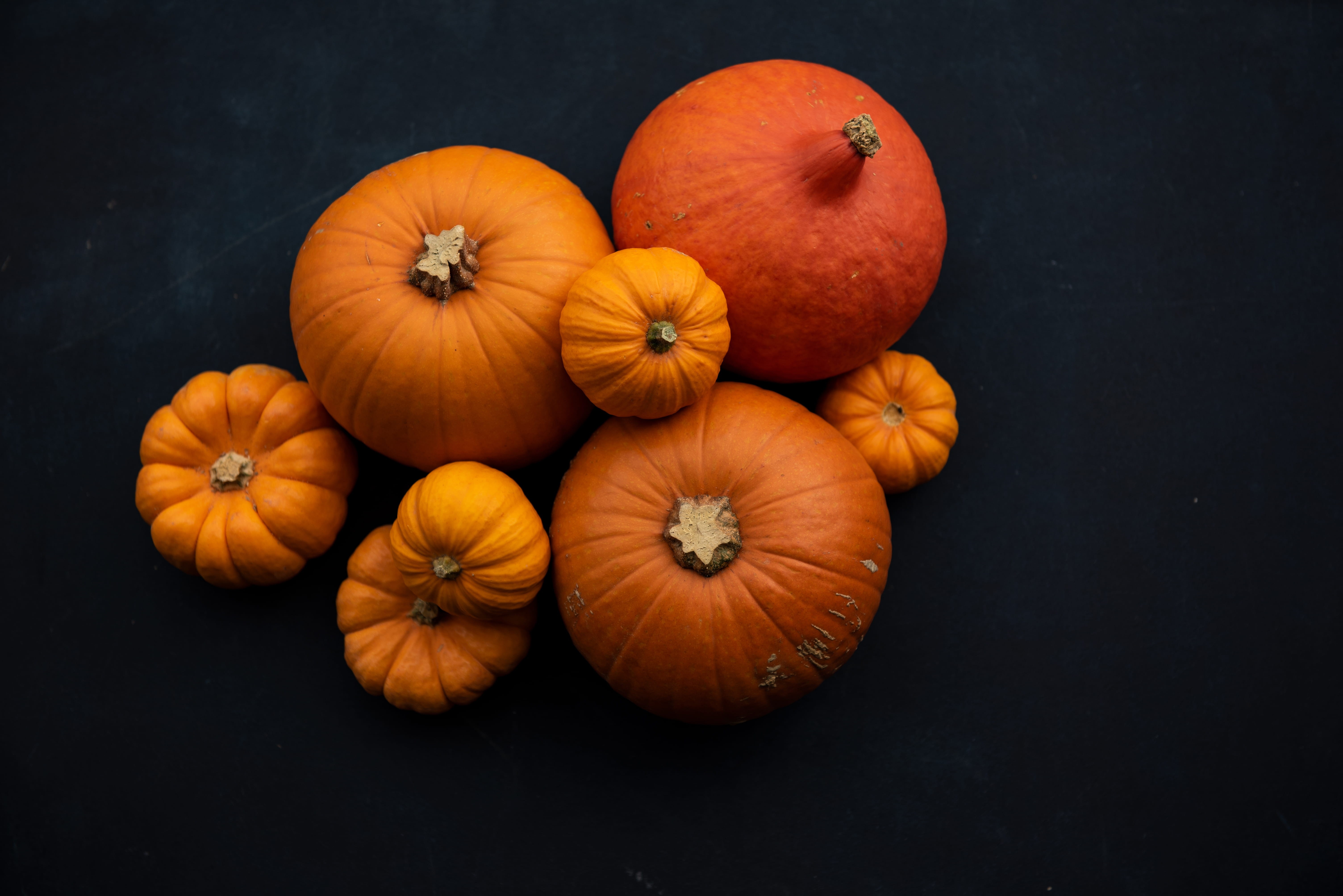 black Color, organic, agriculture, ripe, background, nature, yellow, fruit, pumpkin, decoration, gourd, thanksgiving, healthy Eating, season, no People, HD Wallpaper